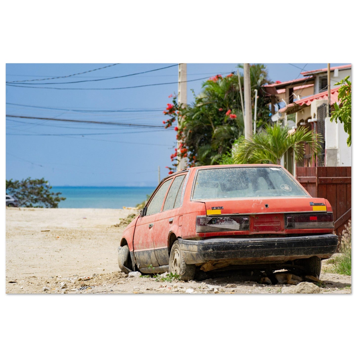 00504157-7631-41a3-b149-5fe67d6d7554