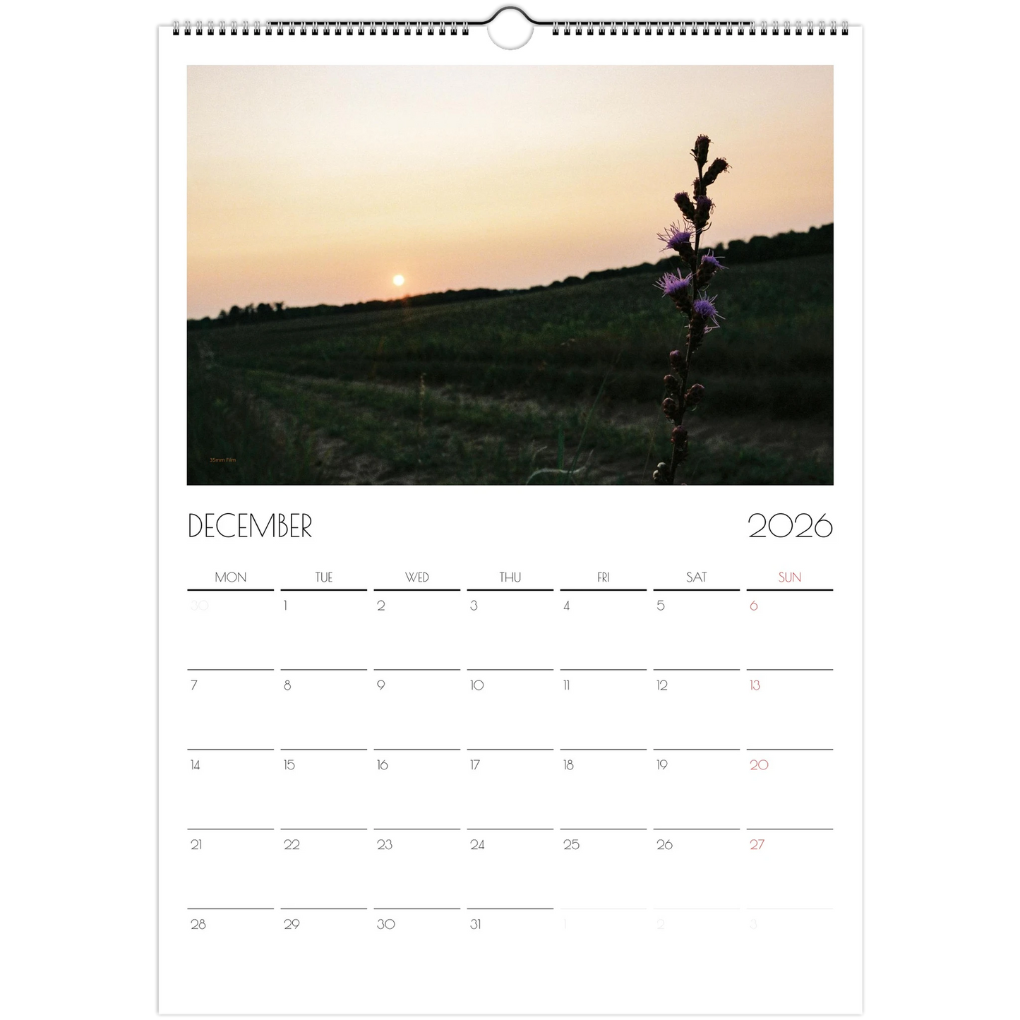 0da8873b-6c51-4c90-bac8-a0969fa5ee1a