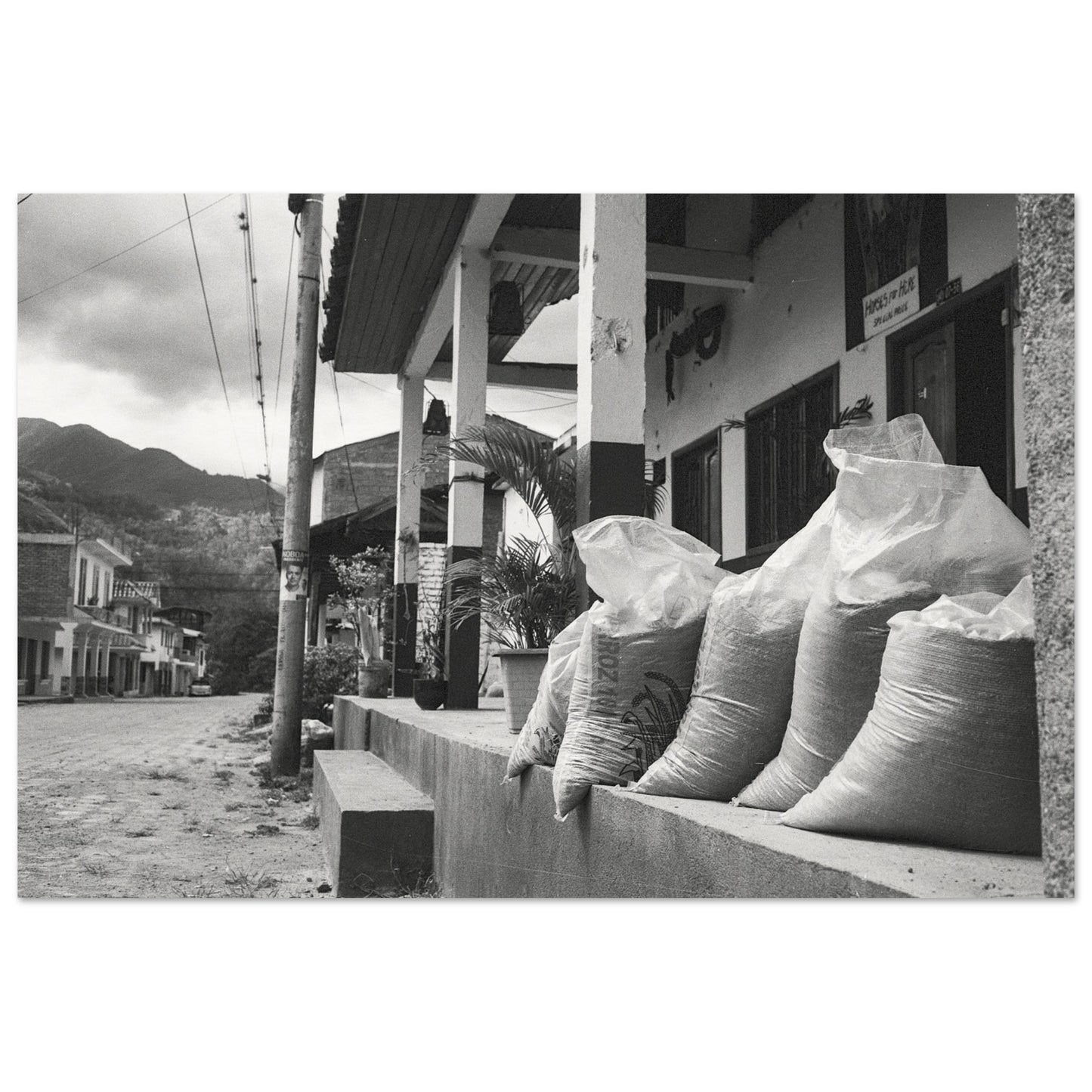 19898bdc-d50c-4d8d-9ee9-8ea7e2f72541