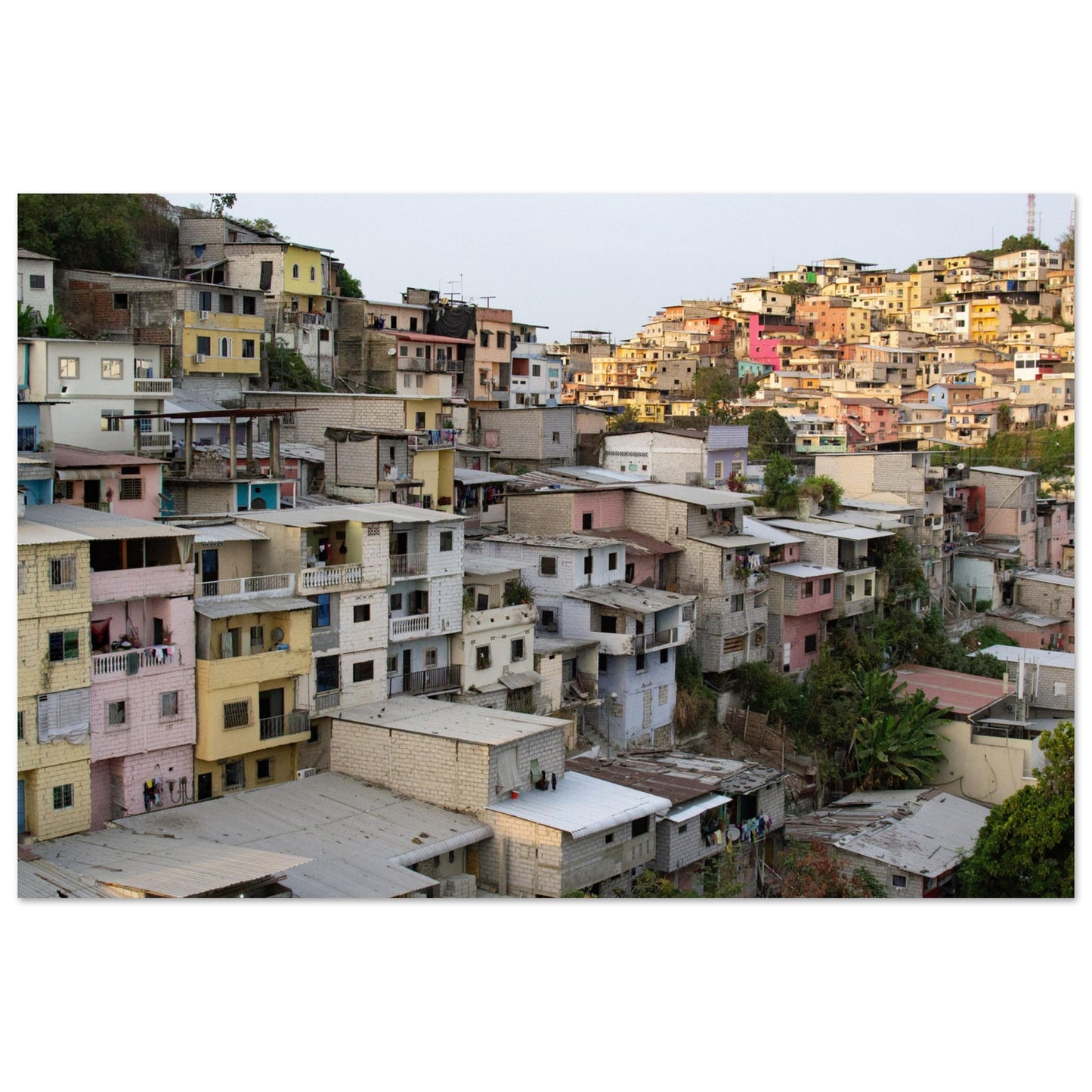 23645438-9d28-41c0-a9ee-91e2b8eea065