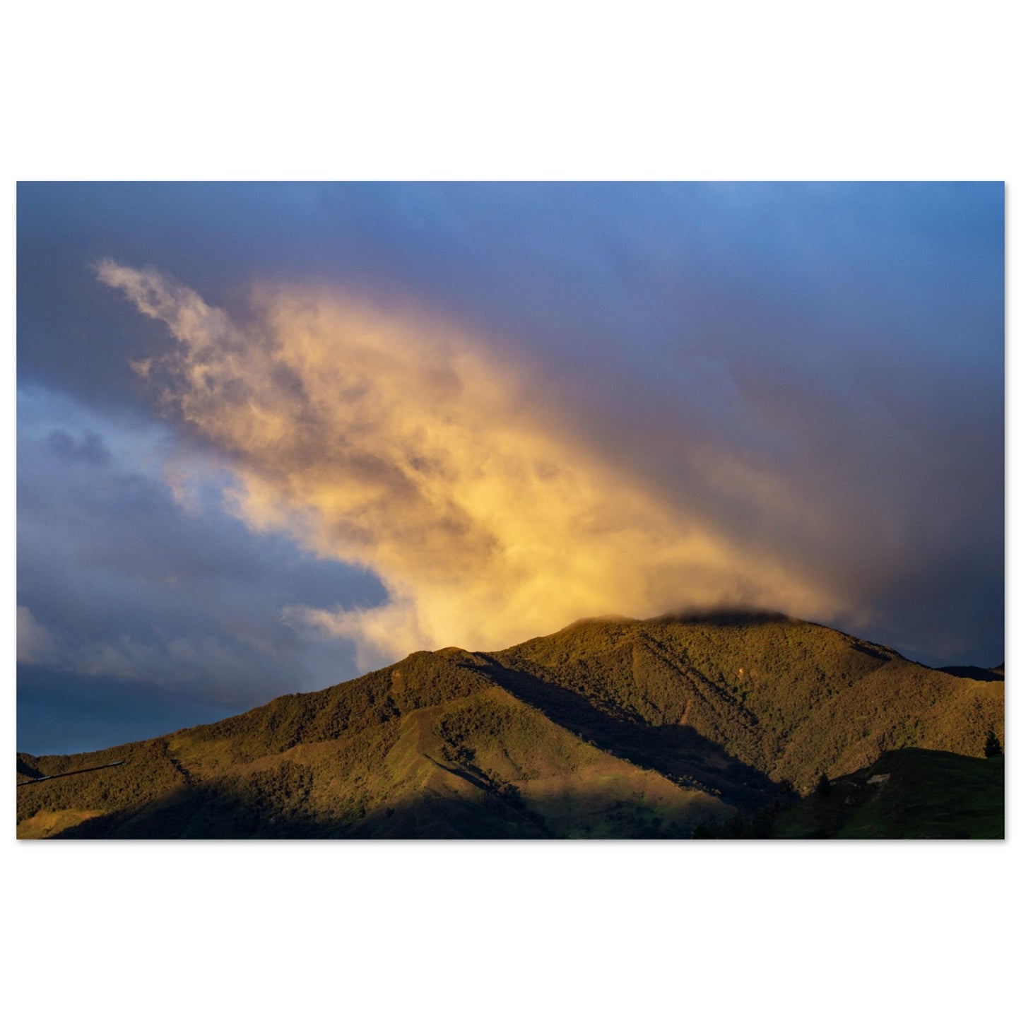 4fa4a7f7-01da-4a00-9867-5dcfc089989d