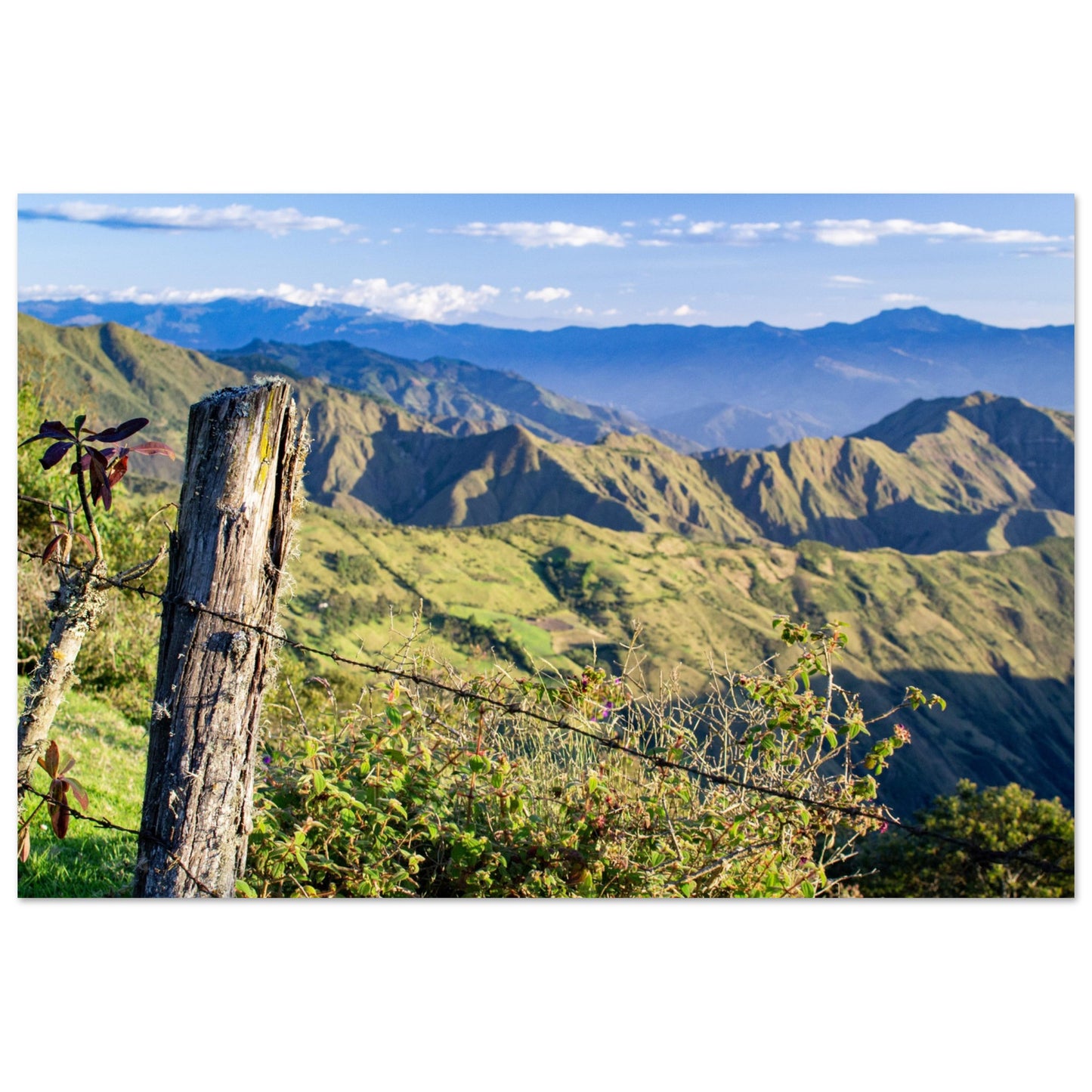 714907d1-a04b-4aec-b797-83fb40963f53