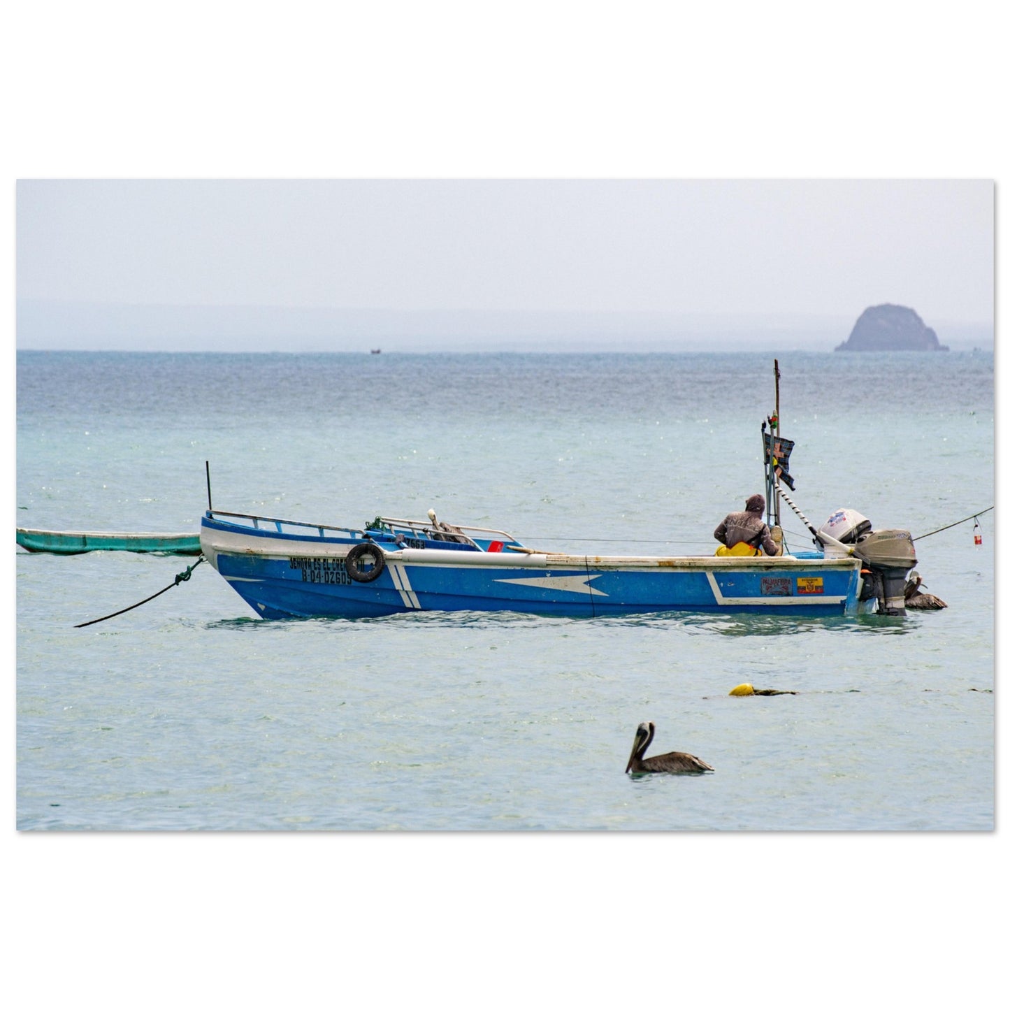 817f7569-91ca-4913-bb95-3cac8e2f752c