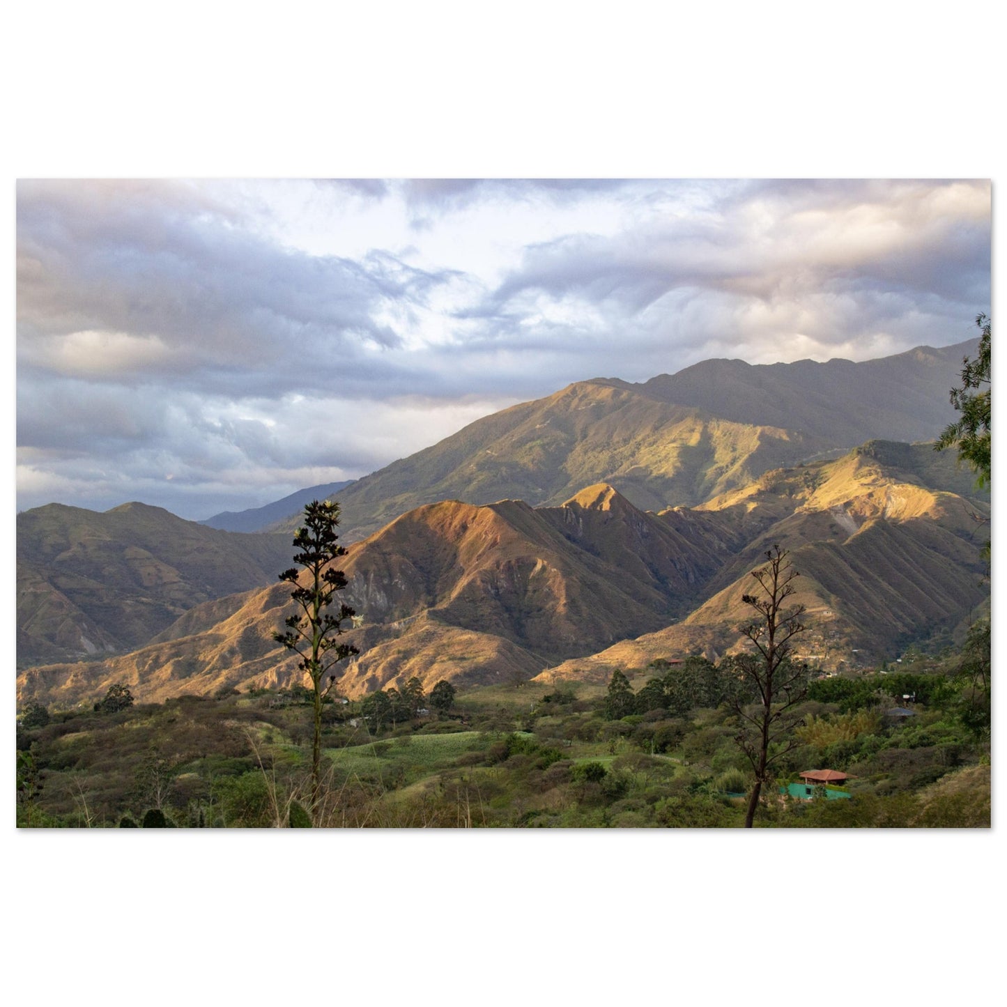 a06fa437-fd9f-42b4-9eb8-cfad52e8acd9