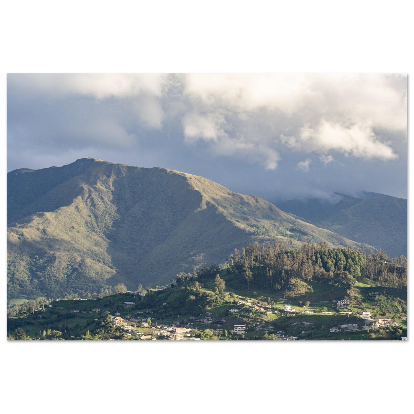 a1af8b72-320c-4a2e-b1c5-8934bb13892a