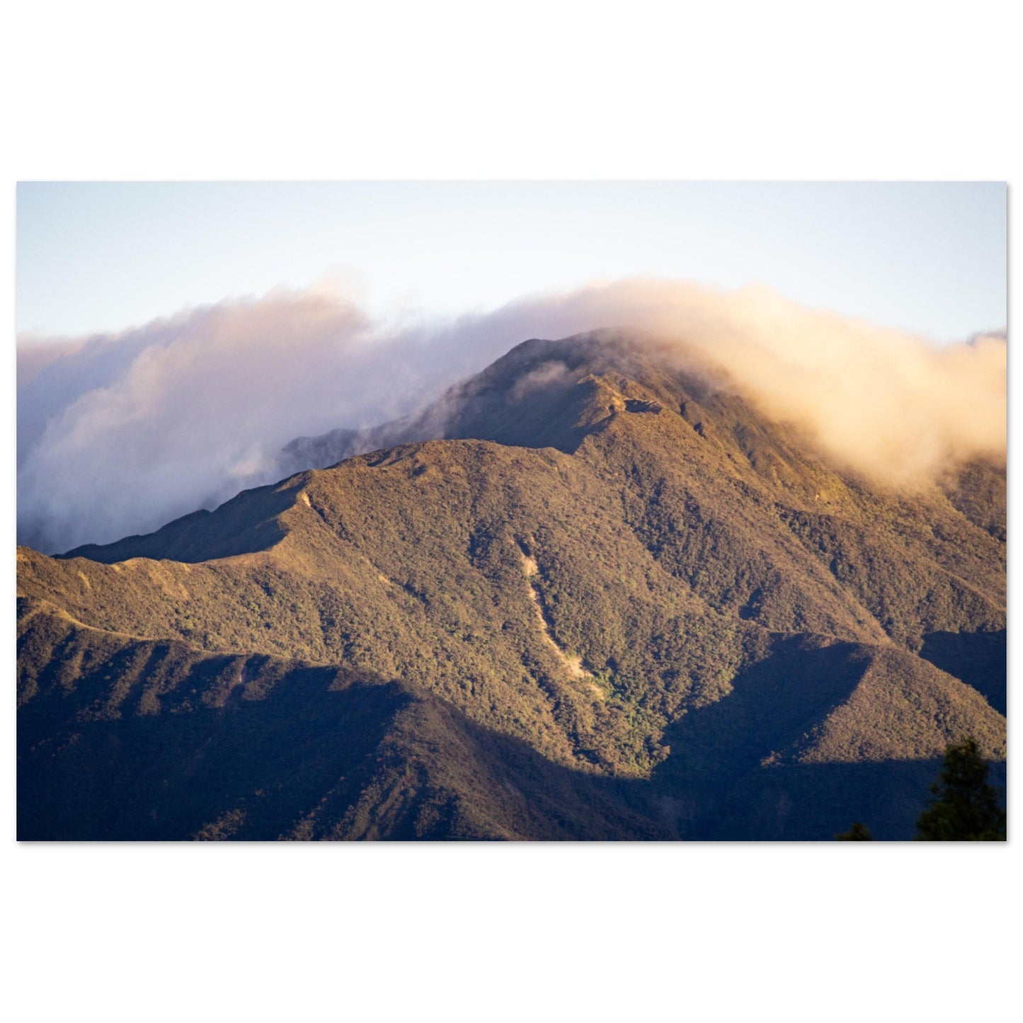 a383725d-b2f9-4f50-8468-e89bc5248cad