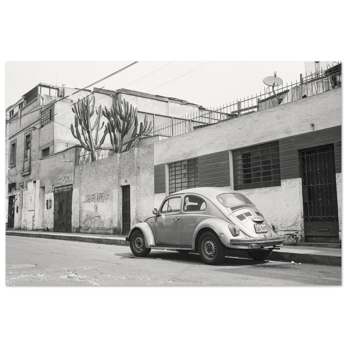 a4971f39-ebb9-4602-bb7e-4fd5262f1647