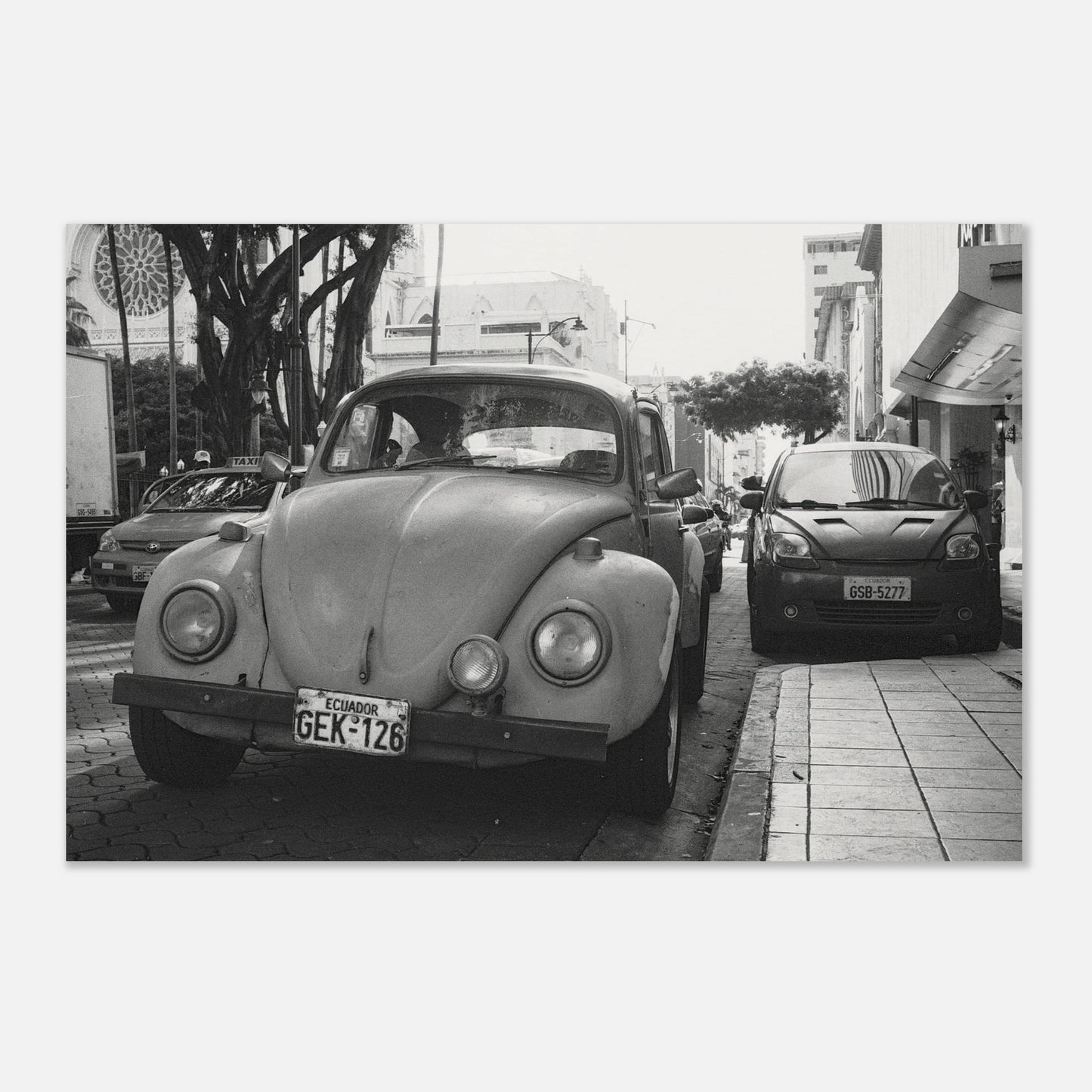 abf8a55e-aa42-466b-a97f-00ffa5341186