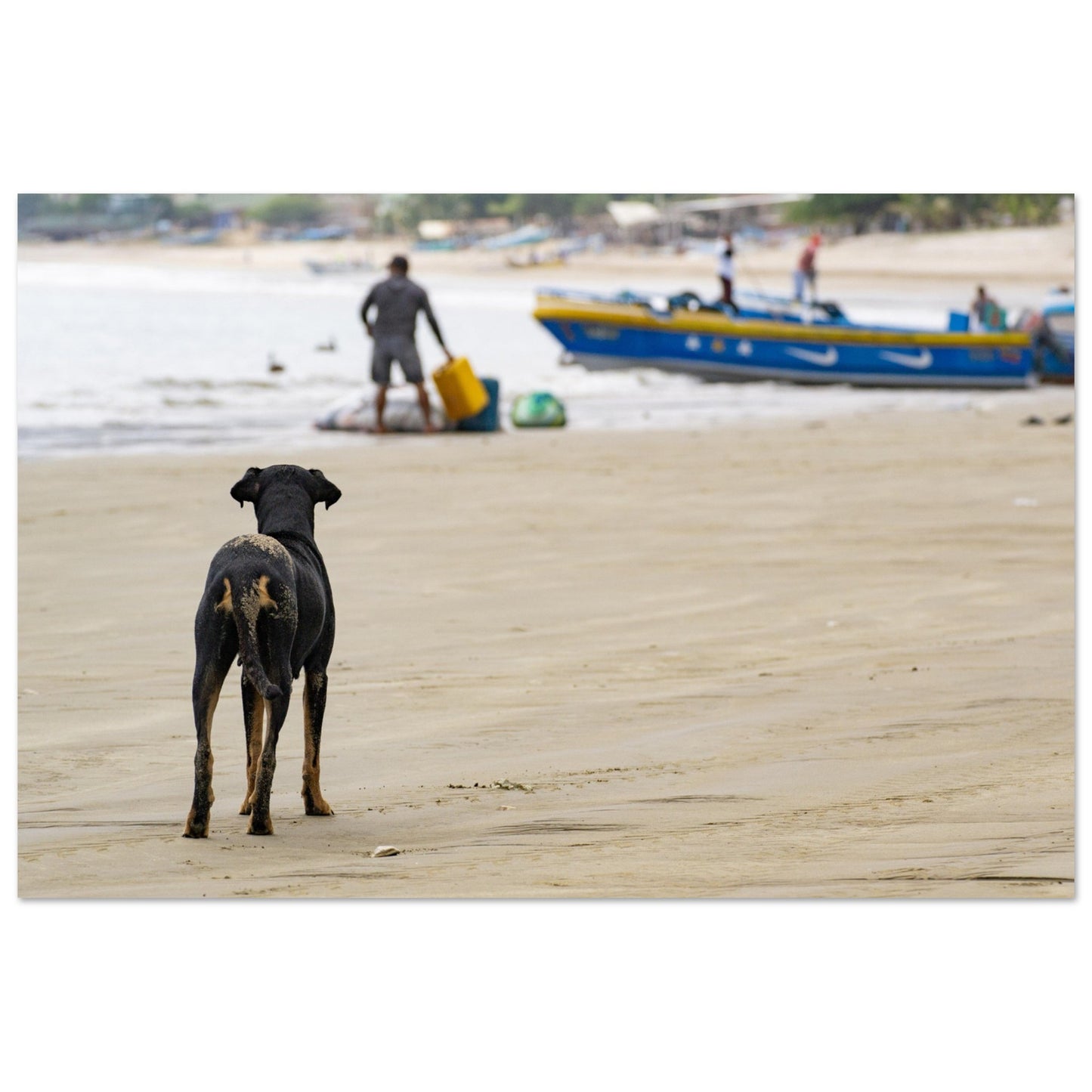 ace19f9c-d606-48a0-8628-ee2da40e5843