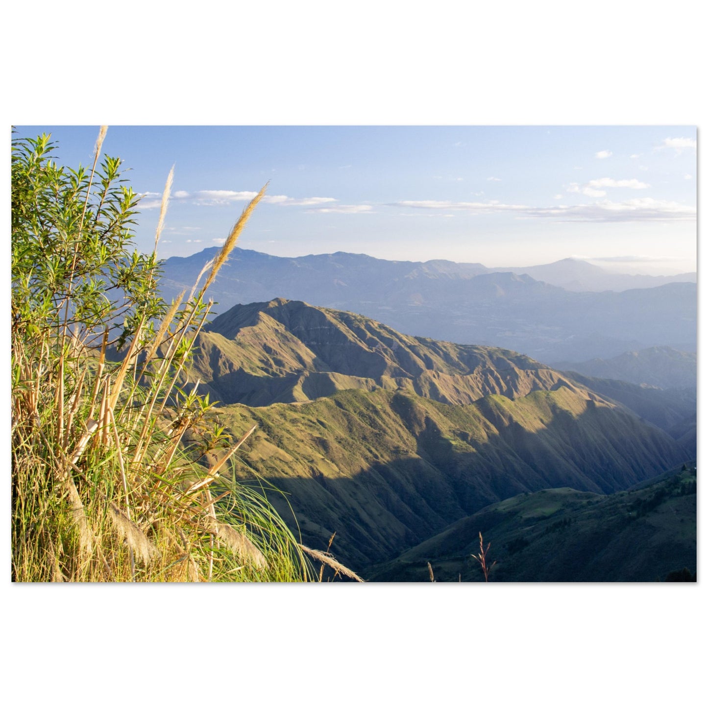 e5b7df08-7305-465a-96bd-543d749fcf1a