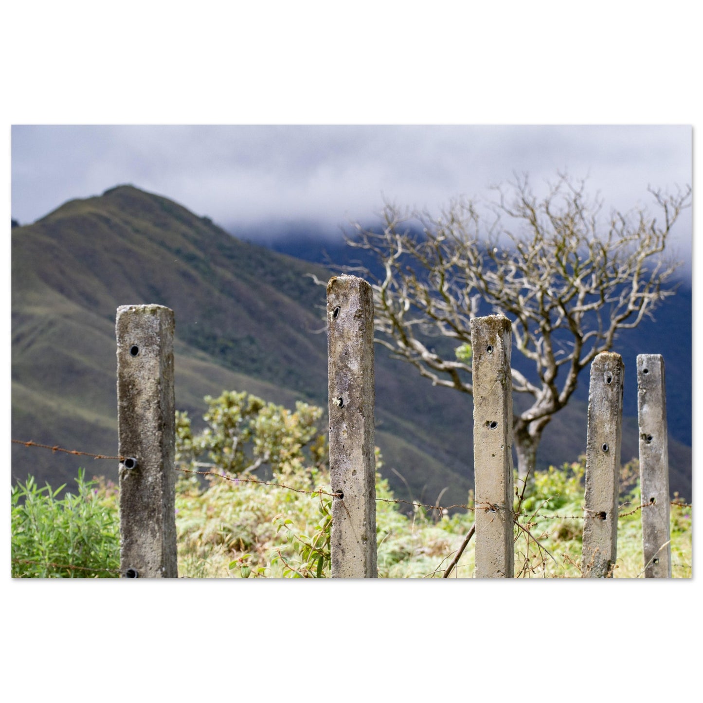 ed5dad0b-9ee9-4ca7-9158-acd7fa063982