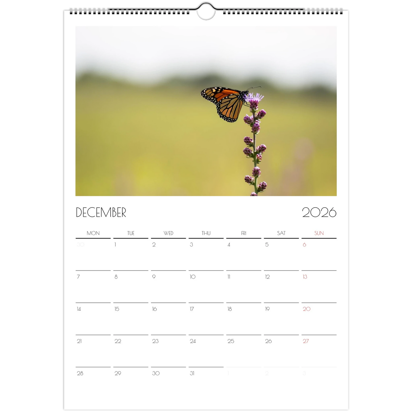 f9e78f63-77ba-48ff-9431-61711a9d9559