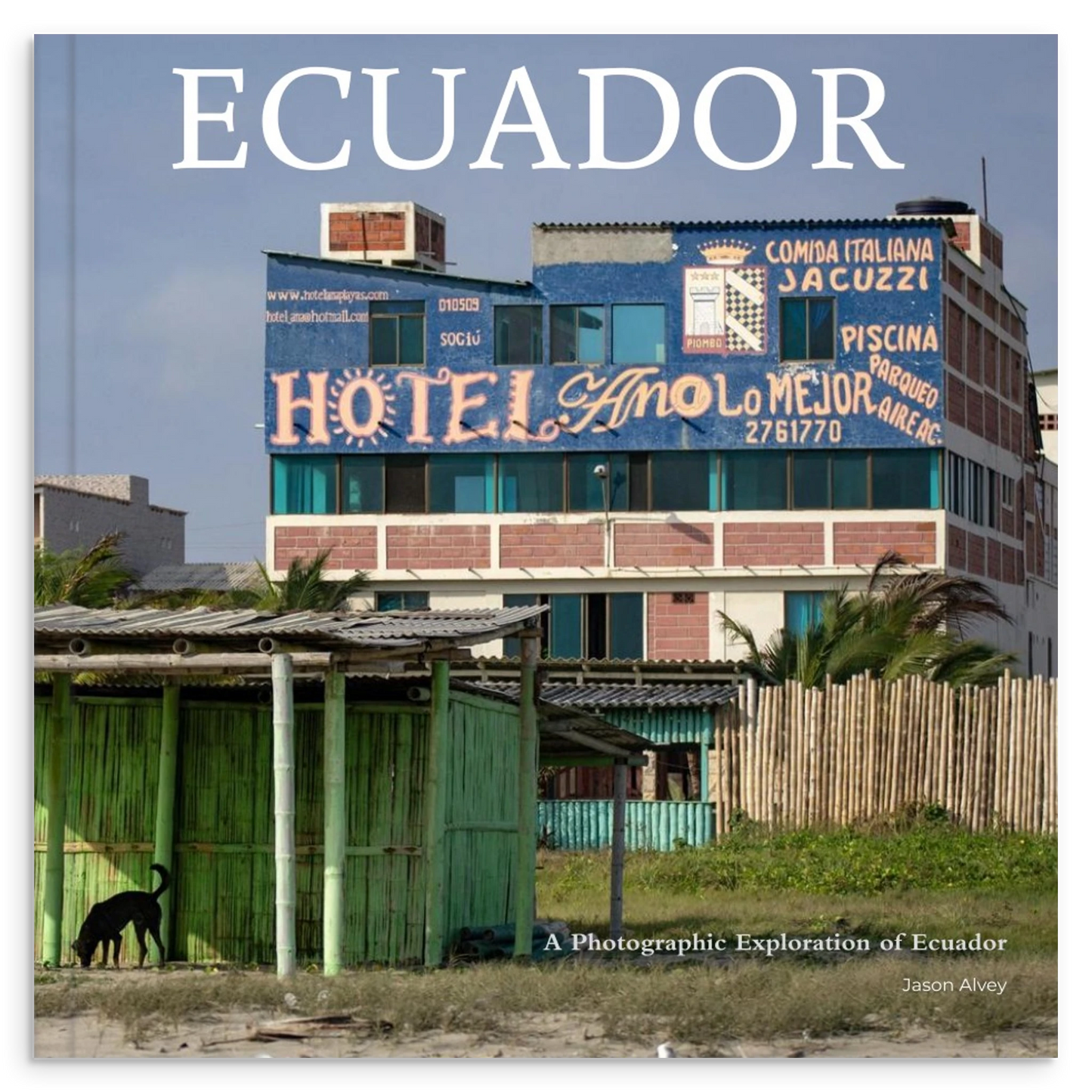 032db590-9f98-47a1-8557-5309ffa4251a