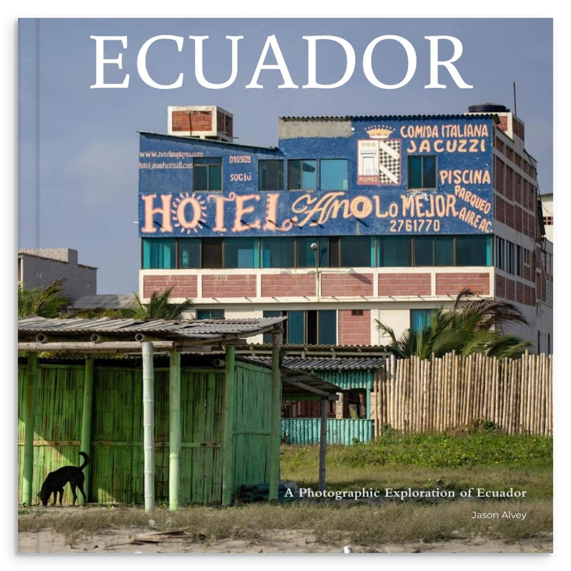 032db590-9f98-47a1-8557-5309ffa4251a