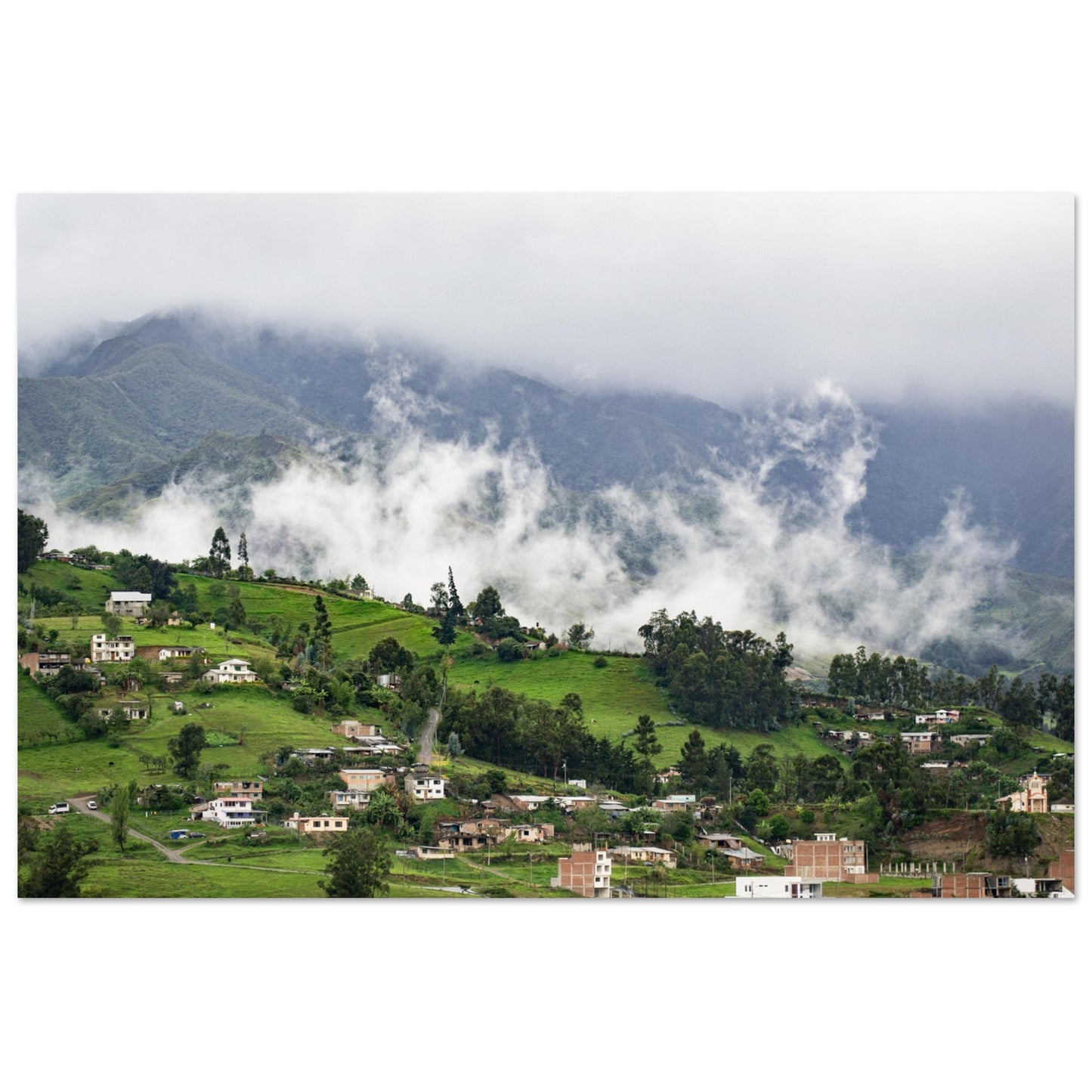 06d302da-409a-45ef-8929-11726fc56961