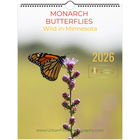 0bd3ad05-cf88-467a-b679-f89867ca8fed