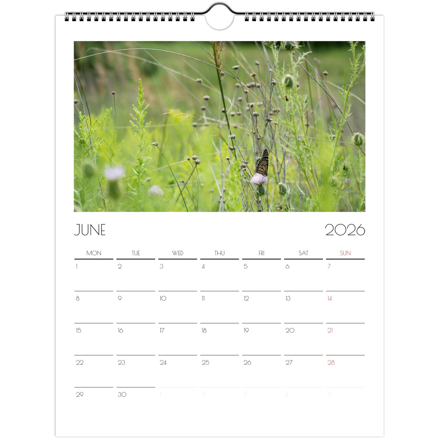 0be48636-403c-4d4c-a648-a2601afb51a9