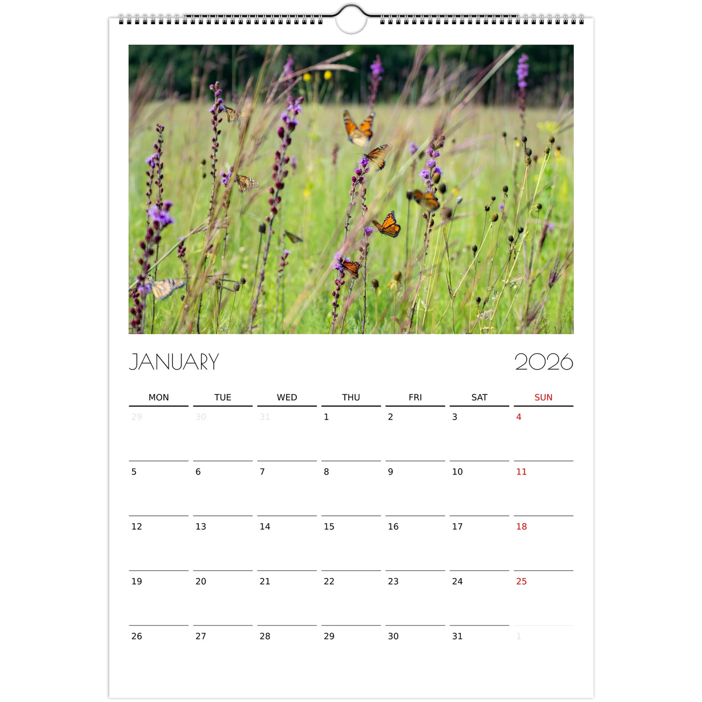 0c24c348-5a55-4cd9-810d-3fc53c638876