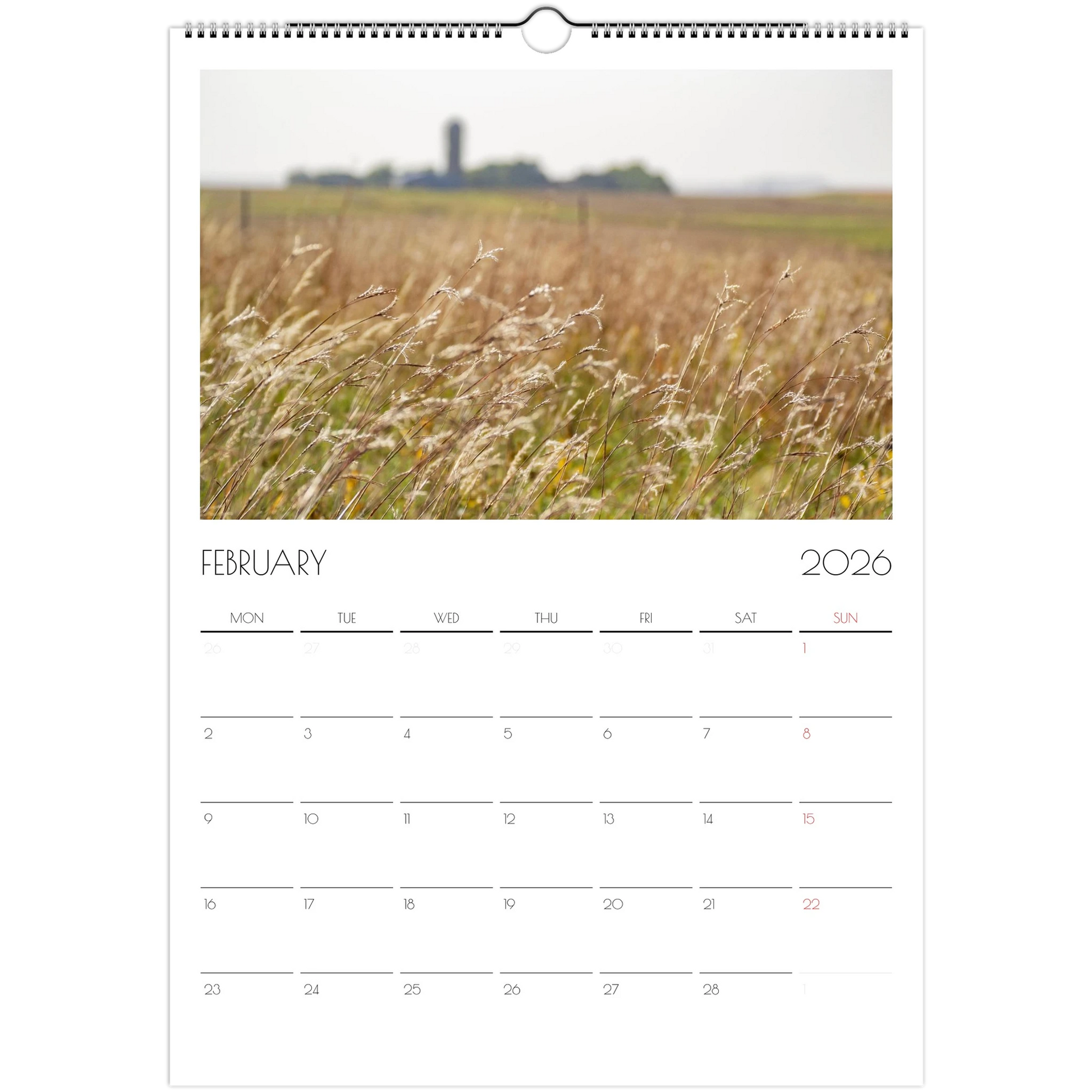 1d02f01a-fbcf-4f07-a6f6-e0c7759adfe4