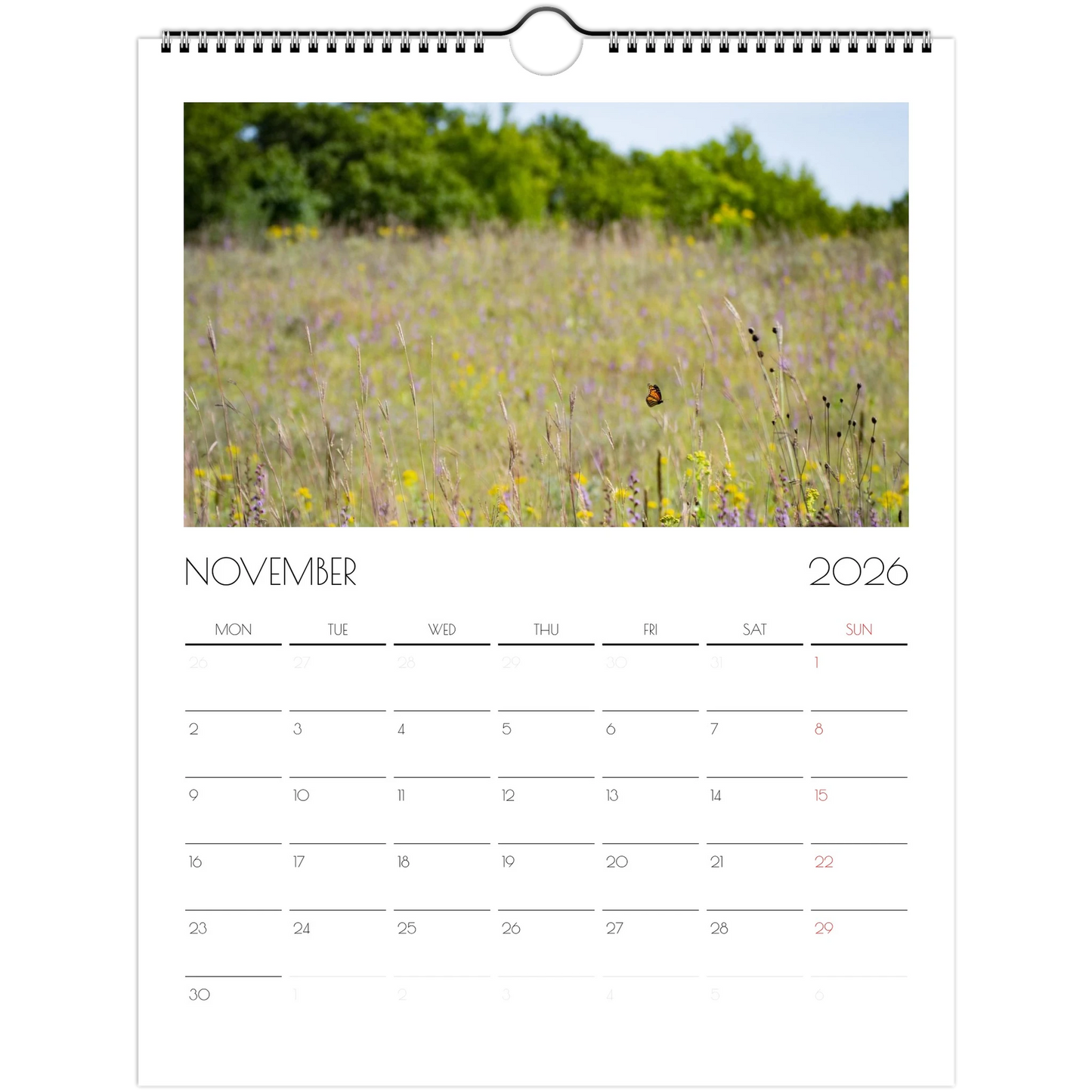 1d9be391-32bf-44a8-bffe-69a39b44a2d3