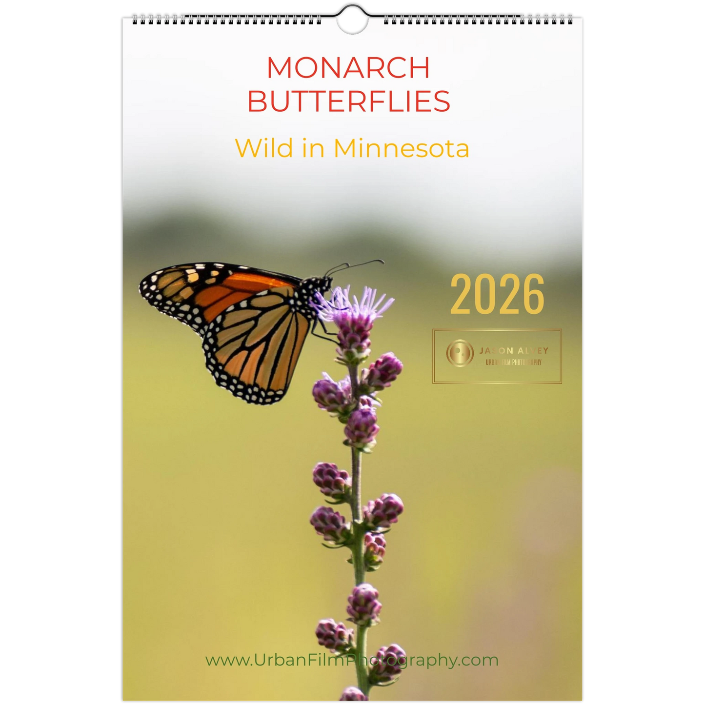 2342d488-c09a-4296-bf01-35777db599ae