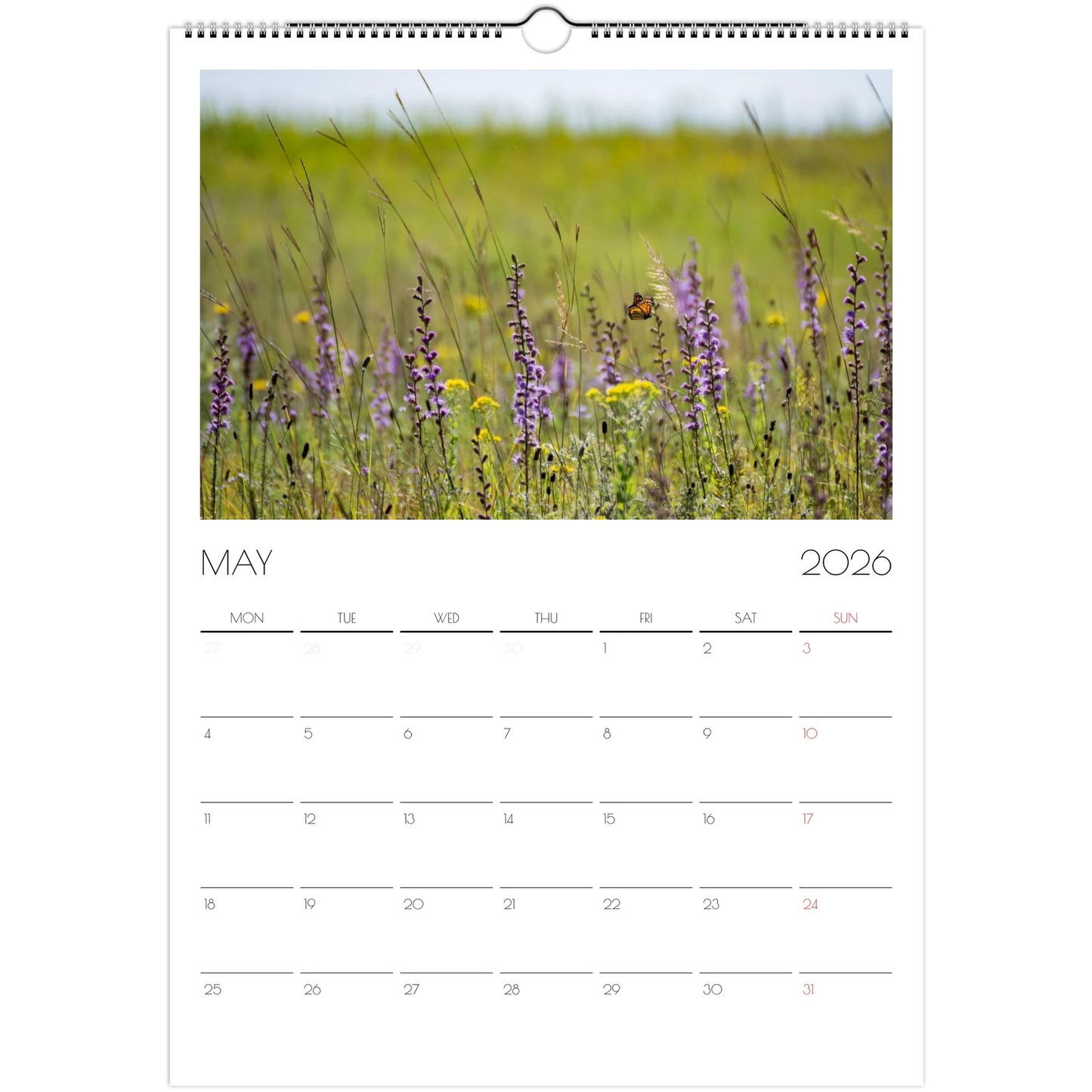 2e29c1de-21b5-4dc7-b5c1-09e1bf4cf327