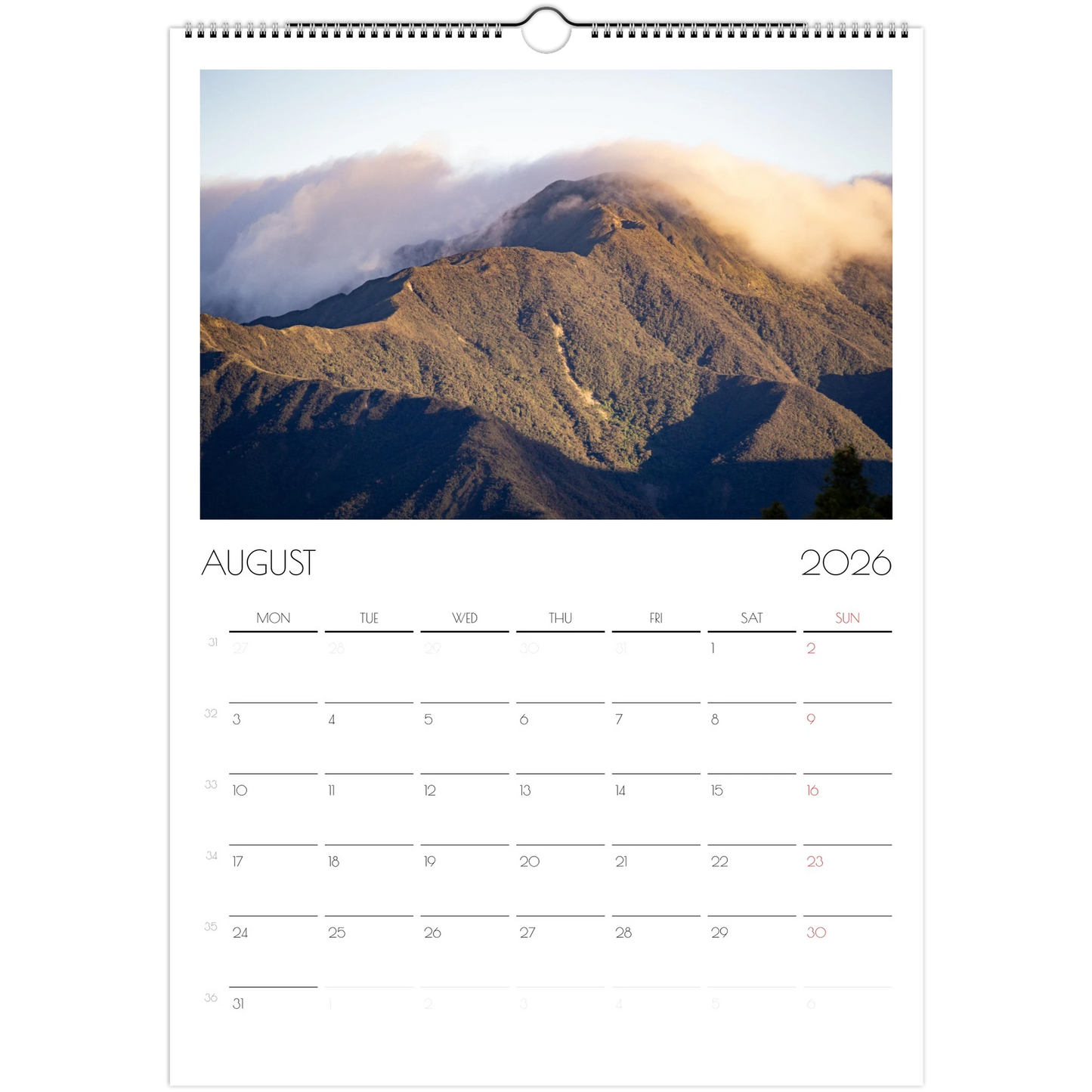 383be54f-63ca-47a6-995b-80bb173325f0