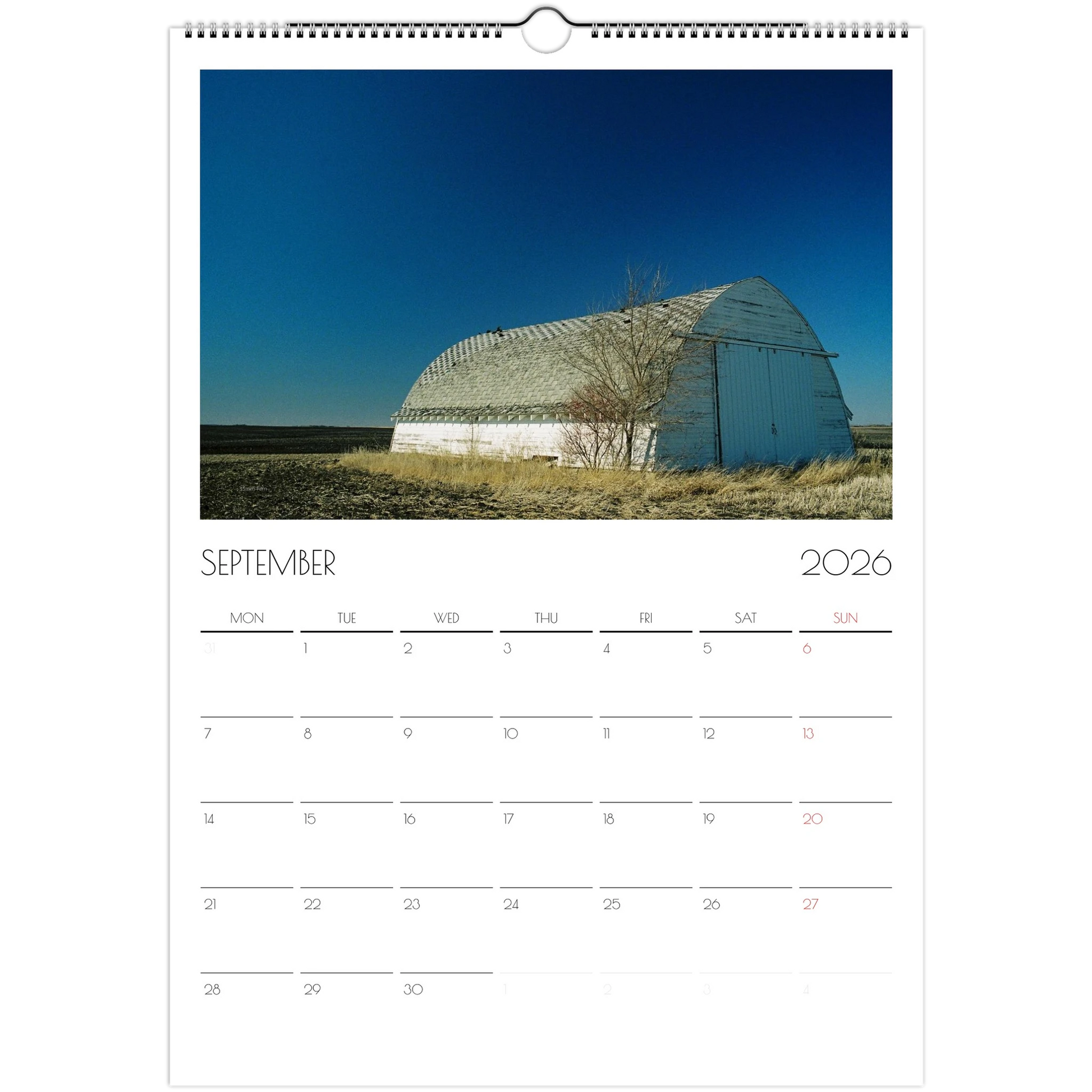 384c559b-b238-4bdd-b8b0-b6c3031833dd