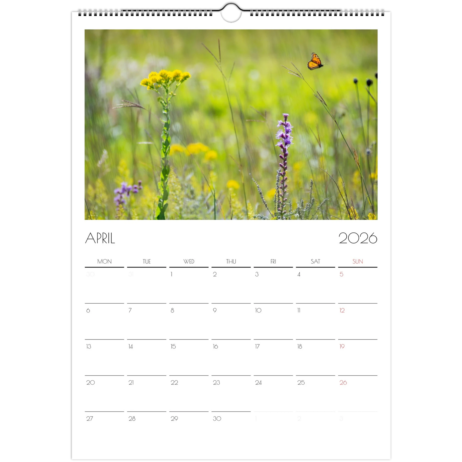 39edf956-0f71-437c-a4eb-5cbcf4e51cfe