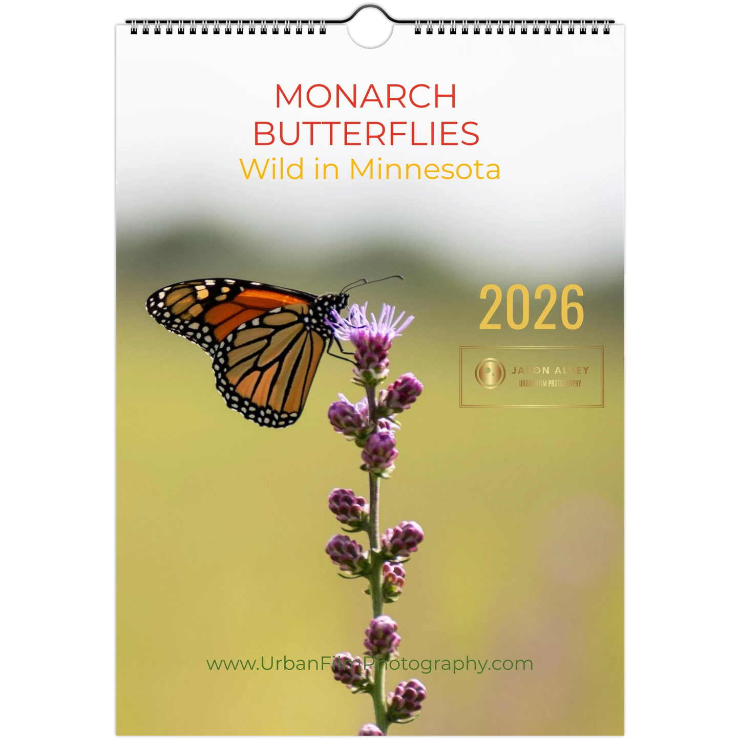 3bd2419a-0c13-441c-b59d-da05542877d7