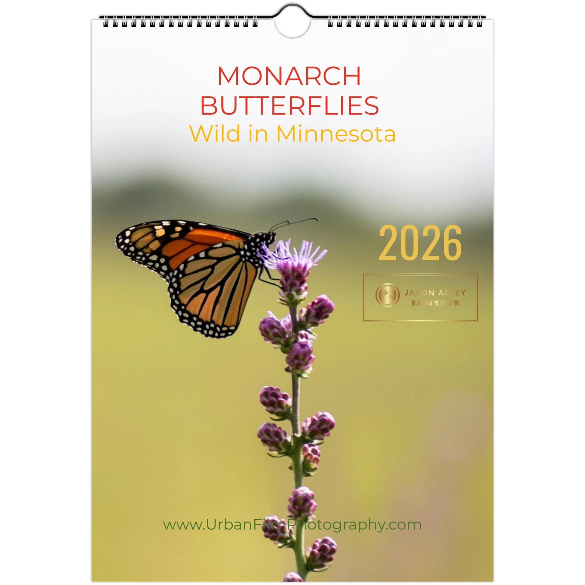 3bd2419a-0c13-441c-b59d-da05542877d7