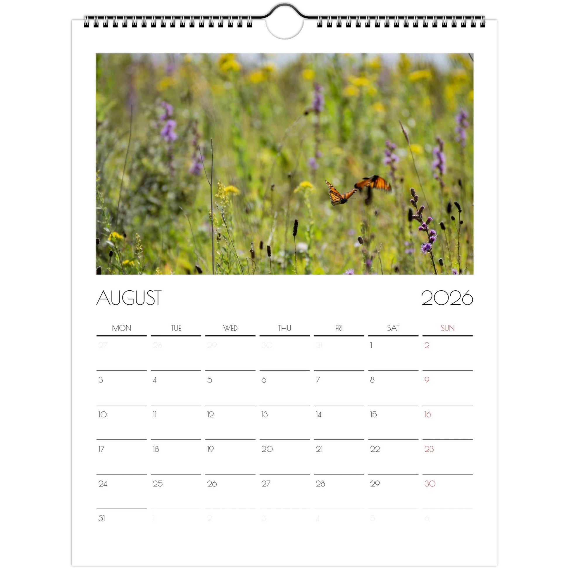 3d8f4d7d-e44f-4d6d-8995-4c0cca9cc3c3