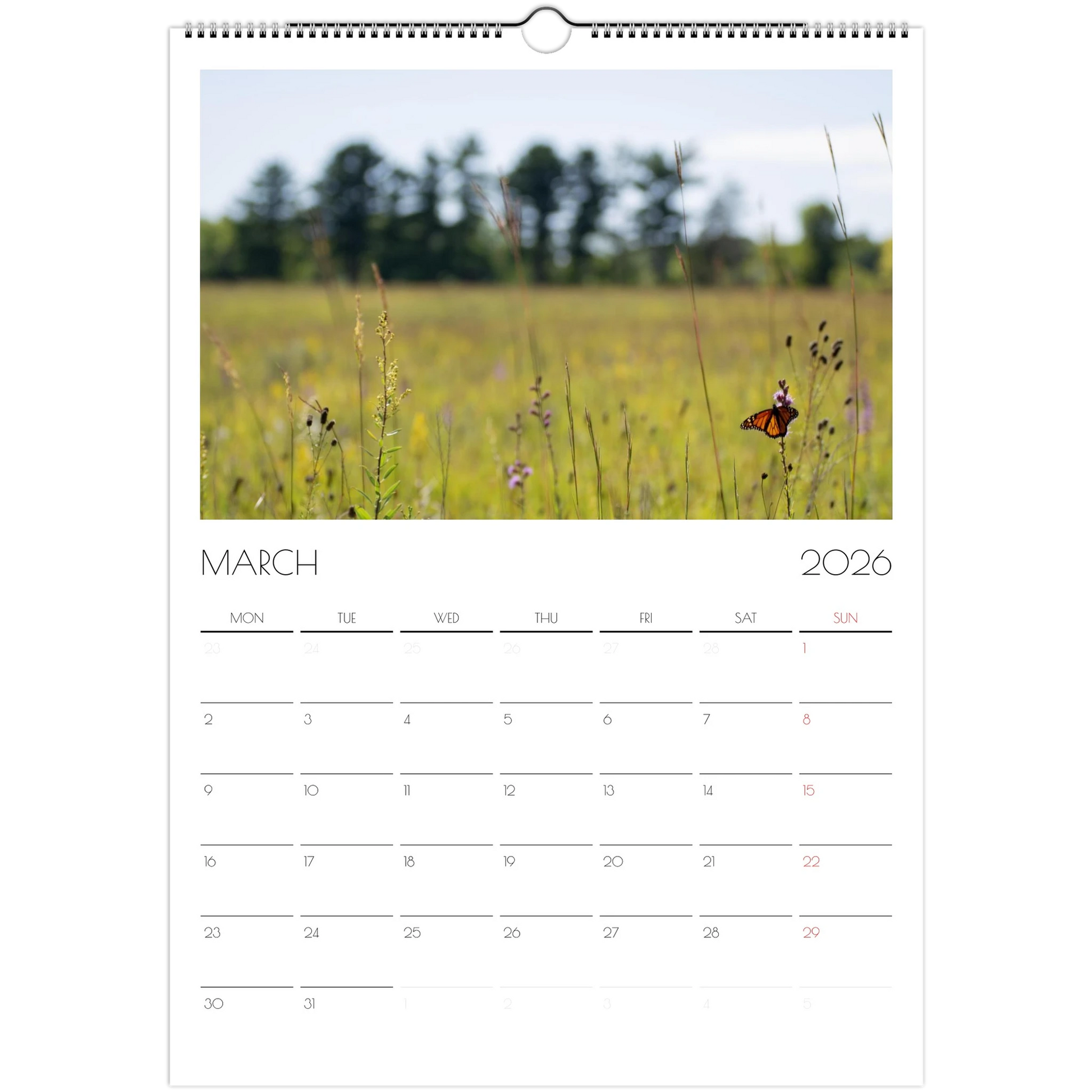 427c32f6-b14d-4a74-b661-e970736c583f