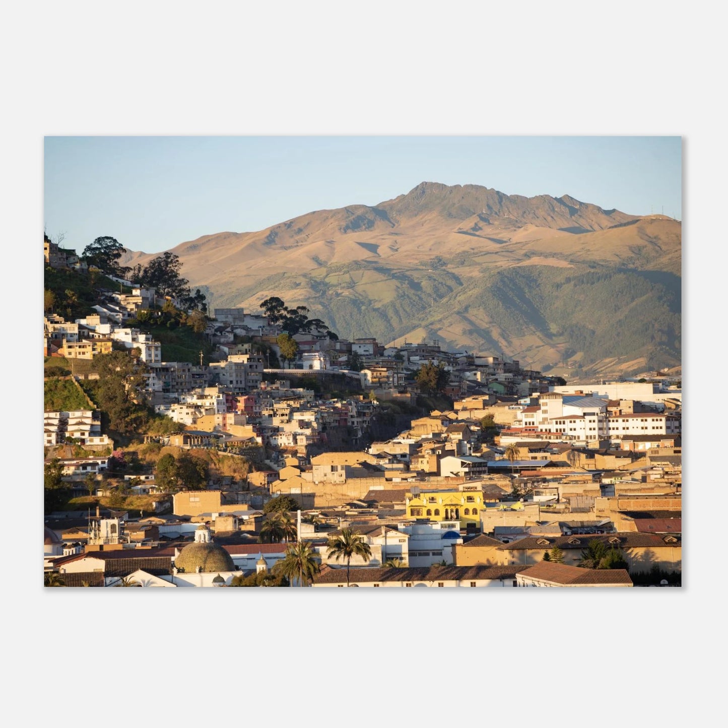 48145de7-b40b-42f2-ab2c-7aa5ff49859a