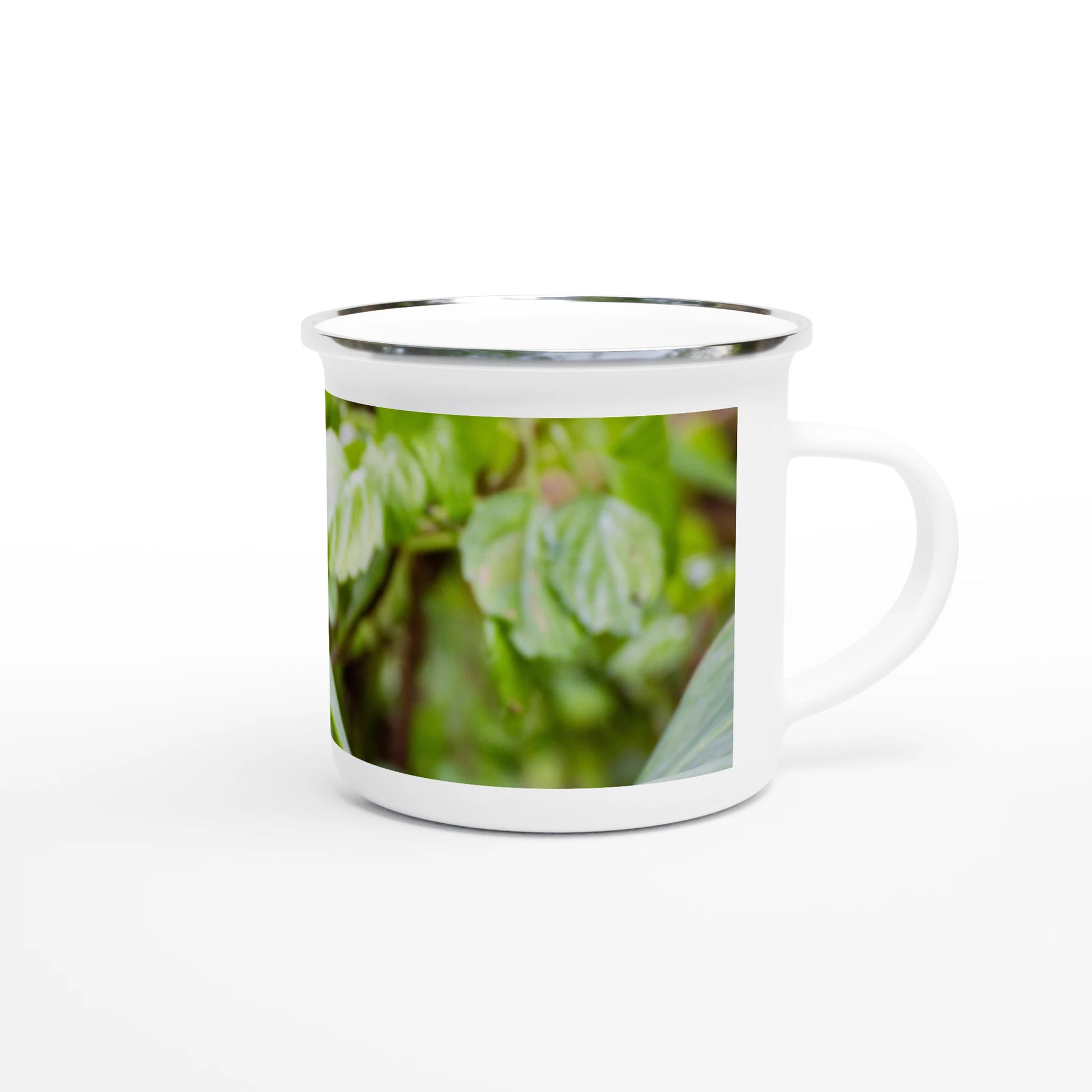 4939aa53-00ef-4d25-a09e-38ba7da54b3e