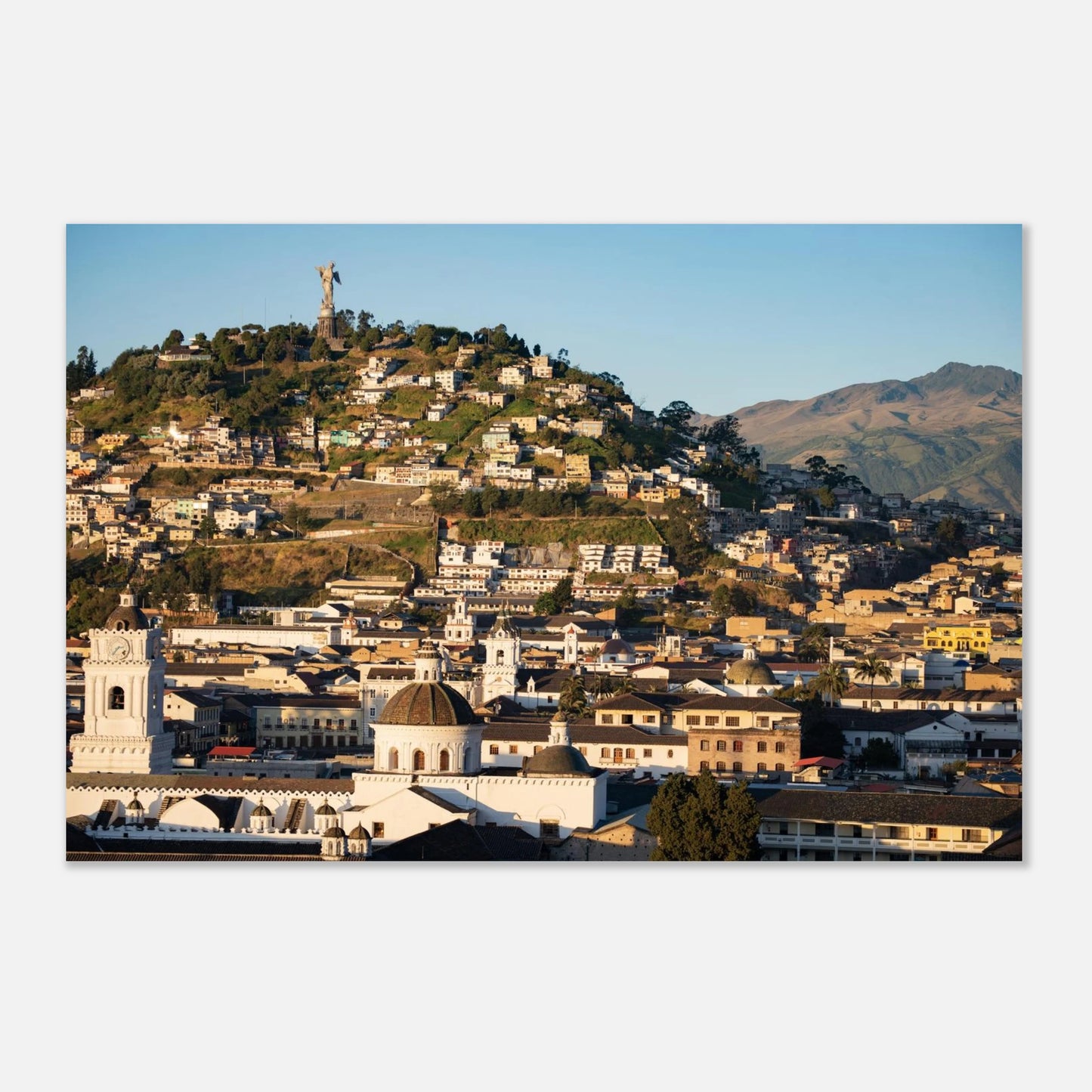 49ab05c5-9e91-4a8c-b618-535068c2a92d