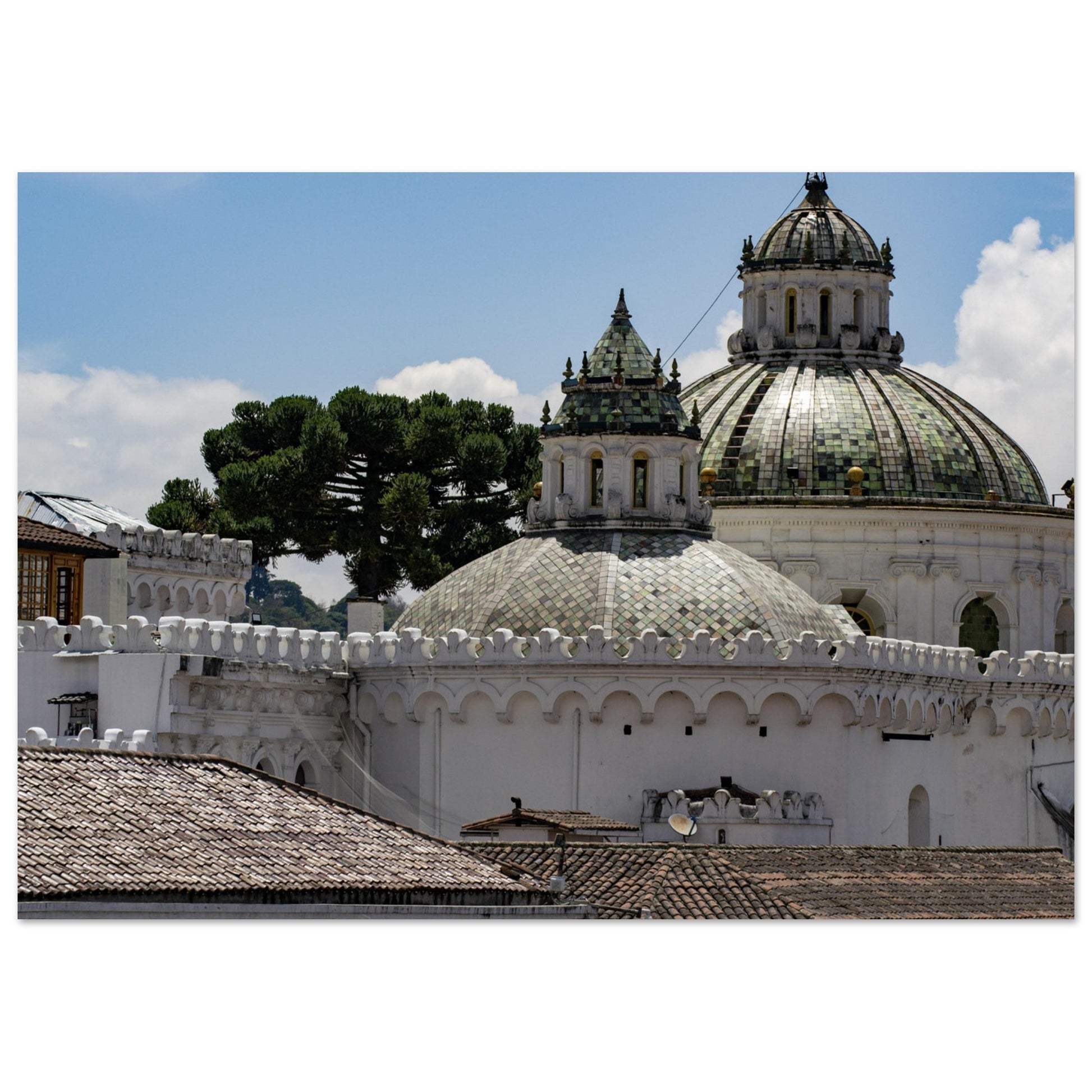 5c549f10-98cc-4586-926a-0e6635d47117