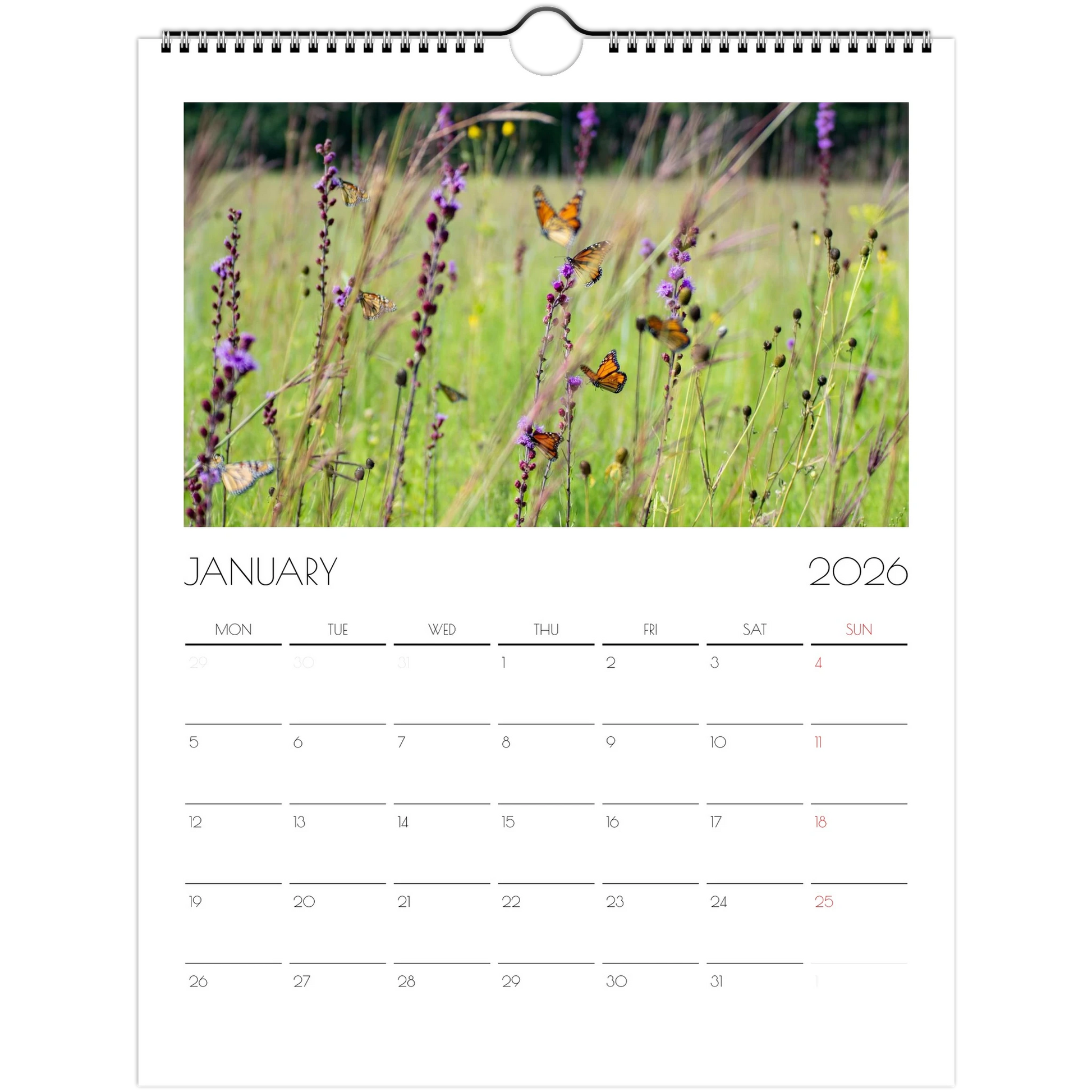 68ae884b-08bc-47ed-852a-e748d7f97ea8