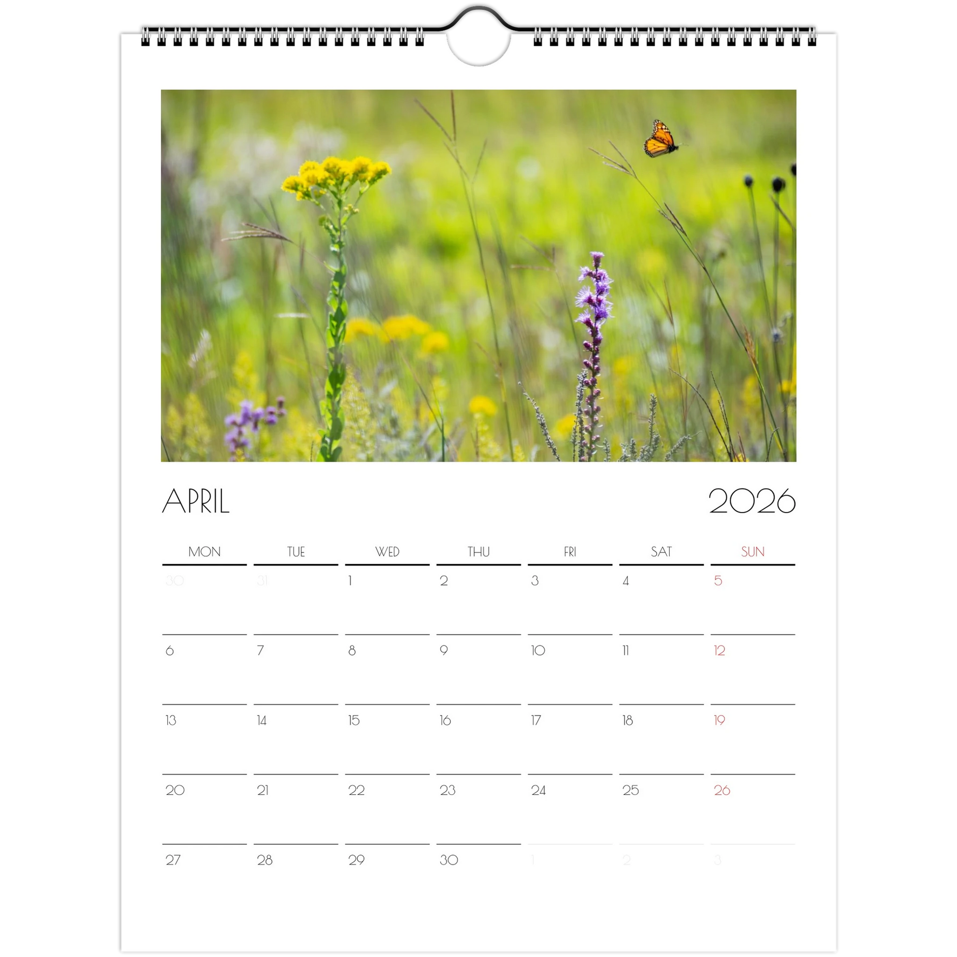 85c84eb7-00a9-43d6-9e5f-3242f7d982f4