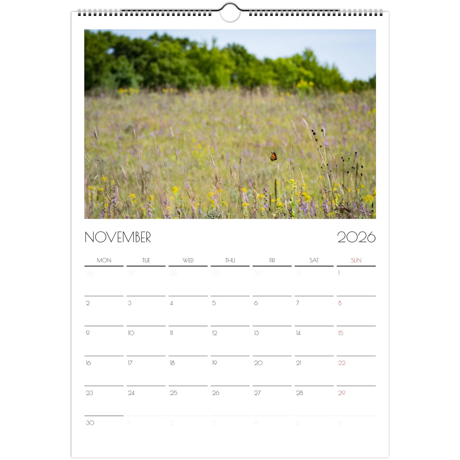 885320b9-84f0-4be8-a933-ab4e511b4b6b