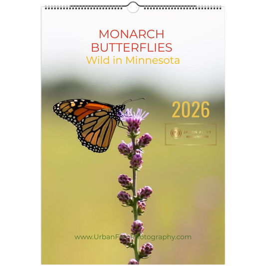 8fcc25de-6ff0-49e8-87cb-fb2ae2087e30