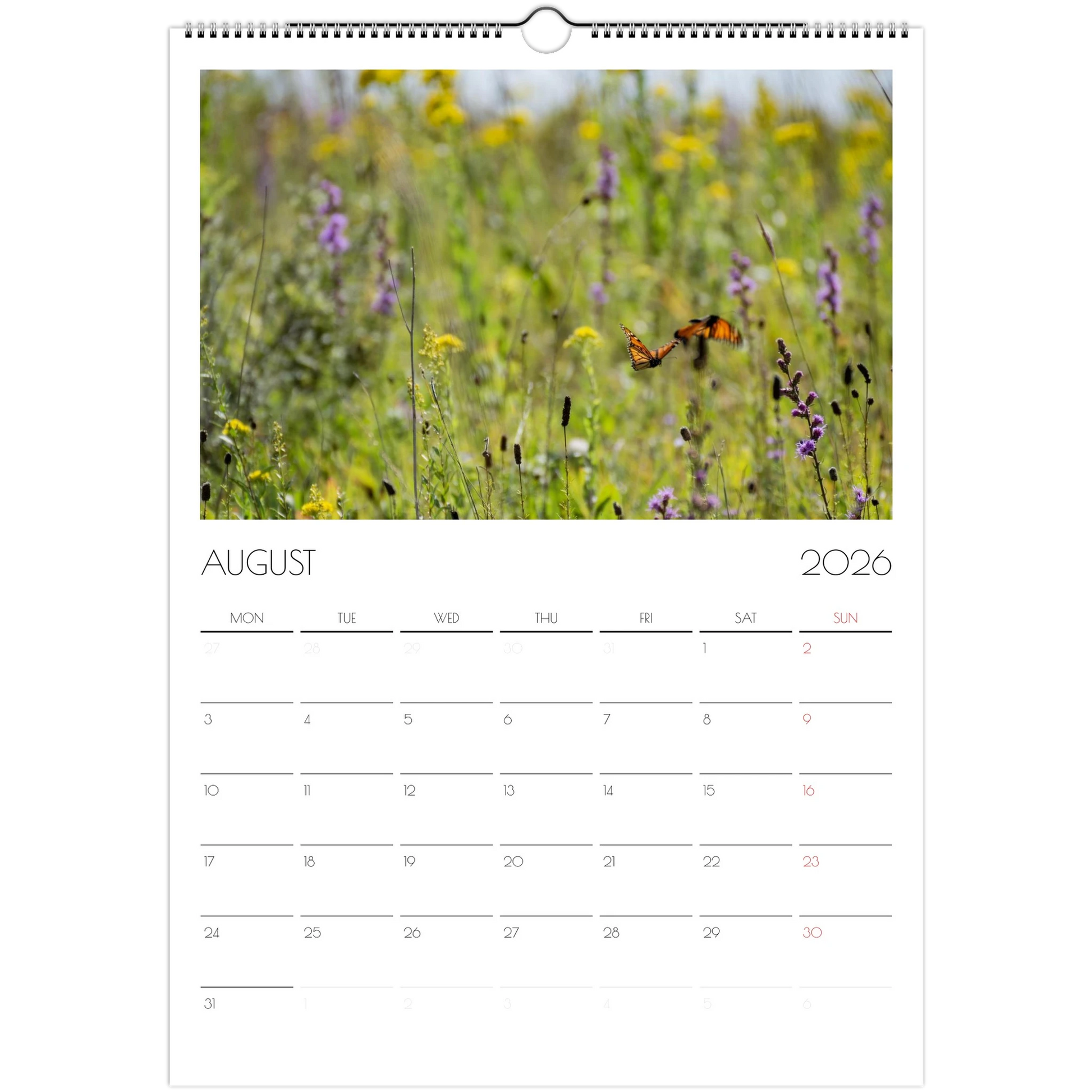 943b41d9-3cb4-42e0-9a65-07e9a5c506bc