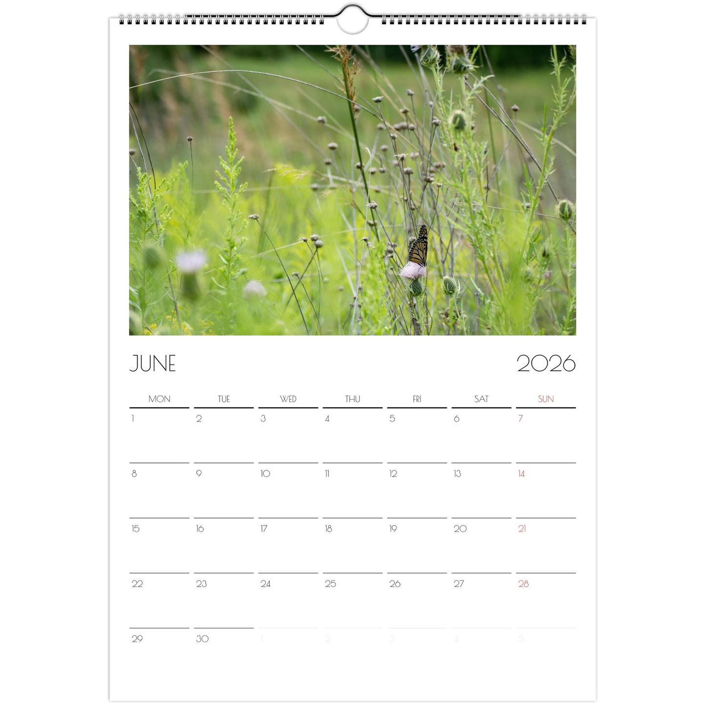 9e3ab9b1-fd7c-48e2-8638-37b5ca3fe0c2