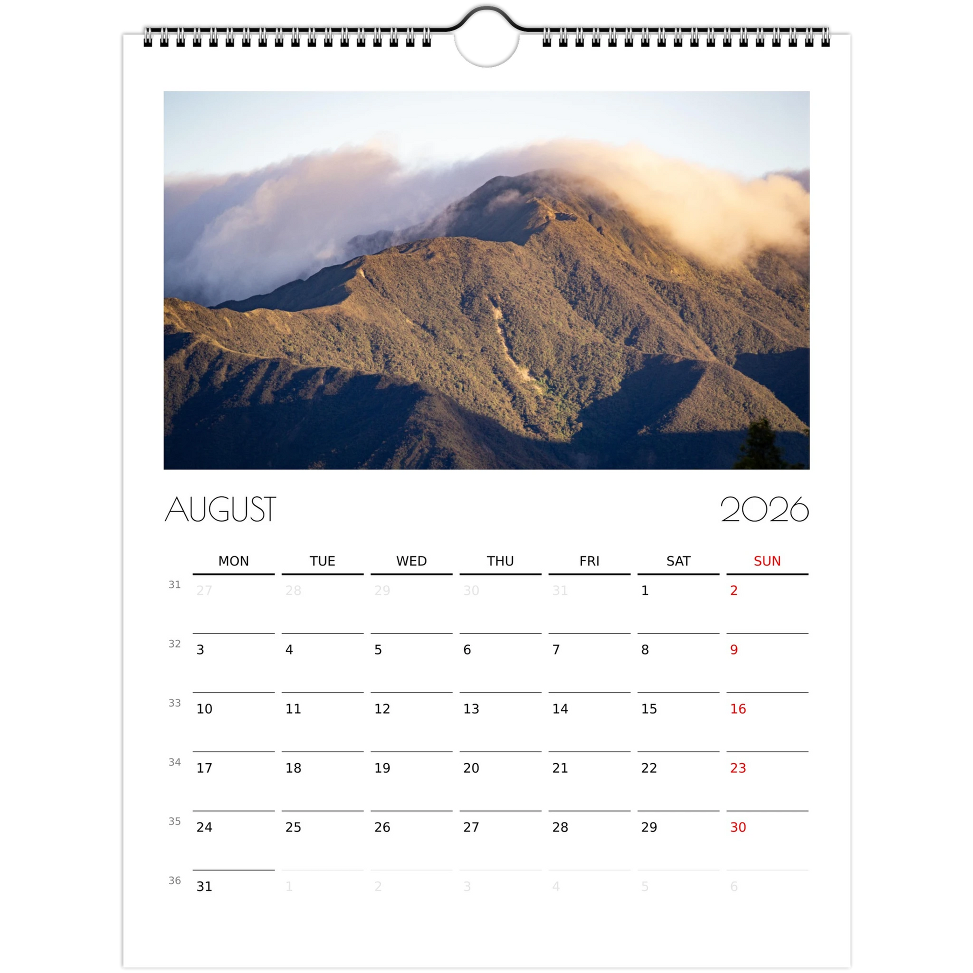 9f114824-281d-436c-b967-ce7105a69cfd