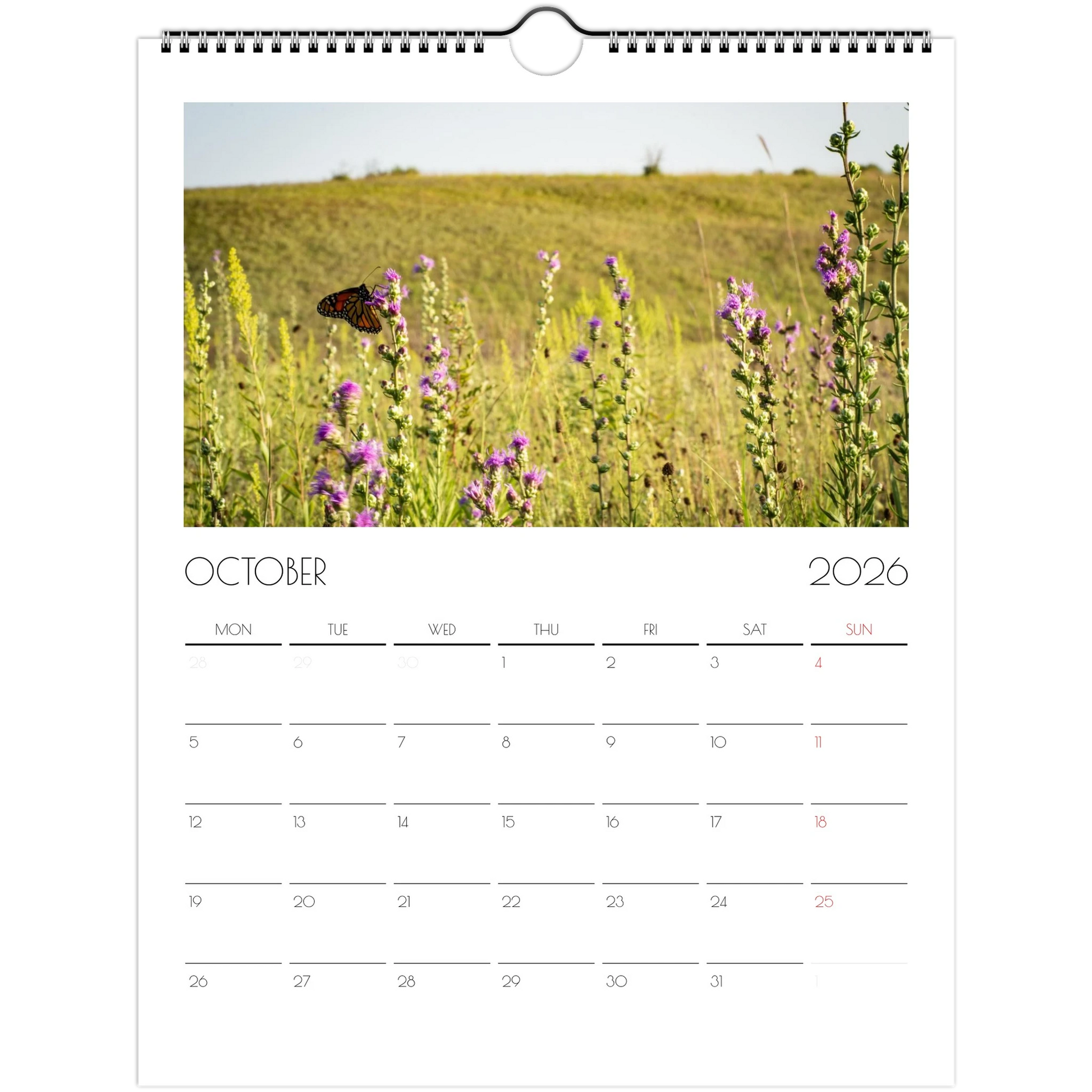 ad13ef4b-8cbf-4552-bdbe-14db321a9e75