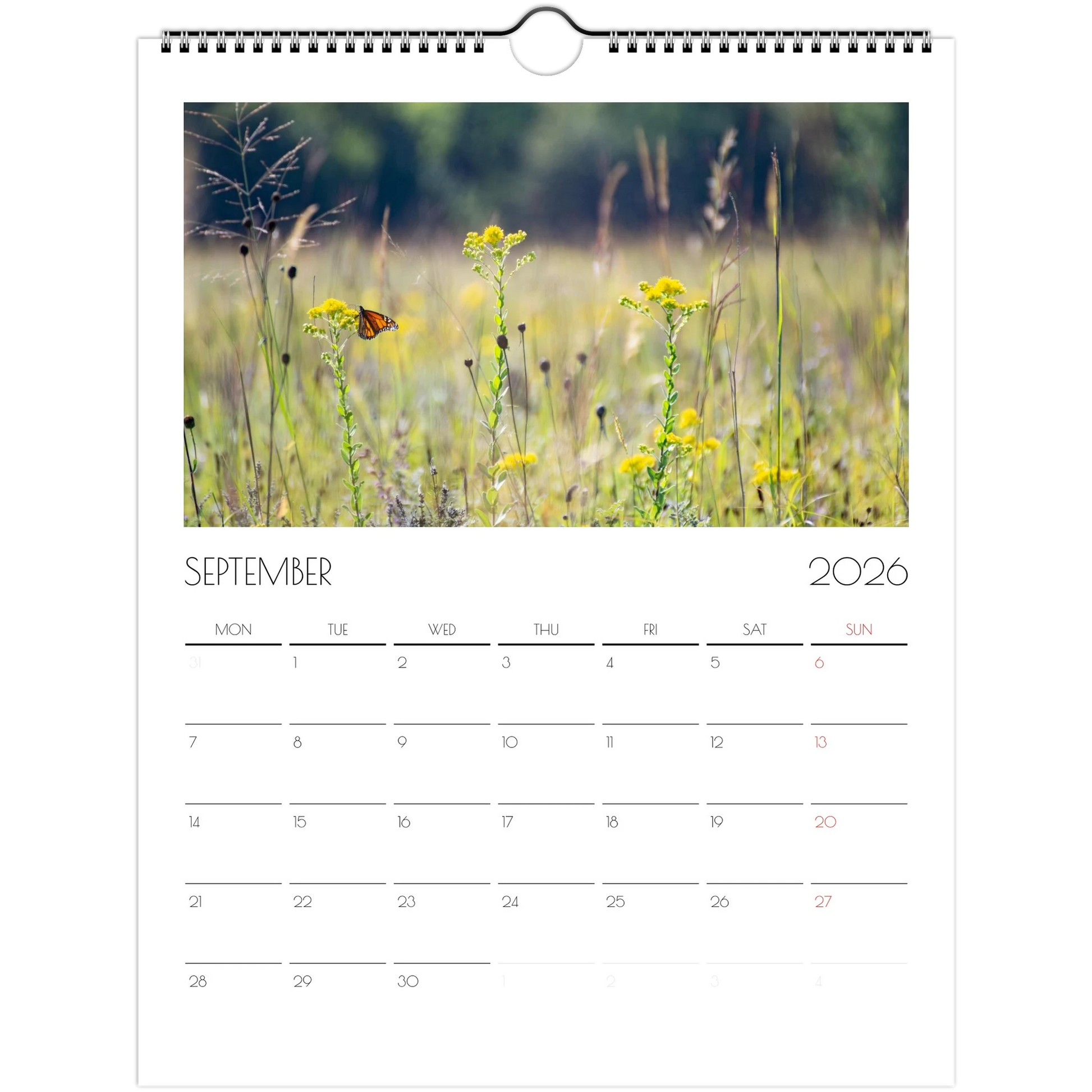 b25baabc-9888-4065-b10c-62be42cb0dc9