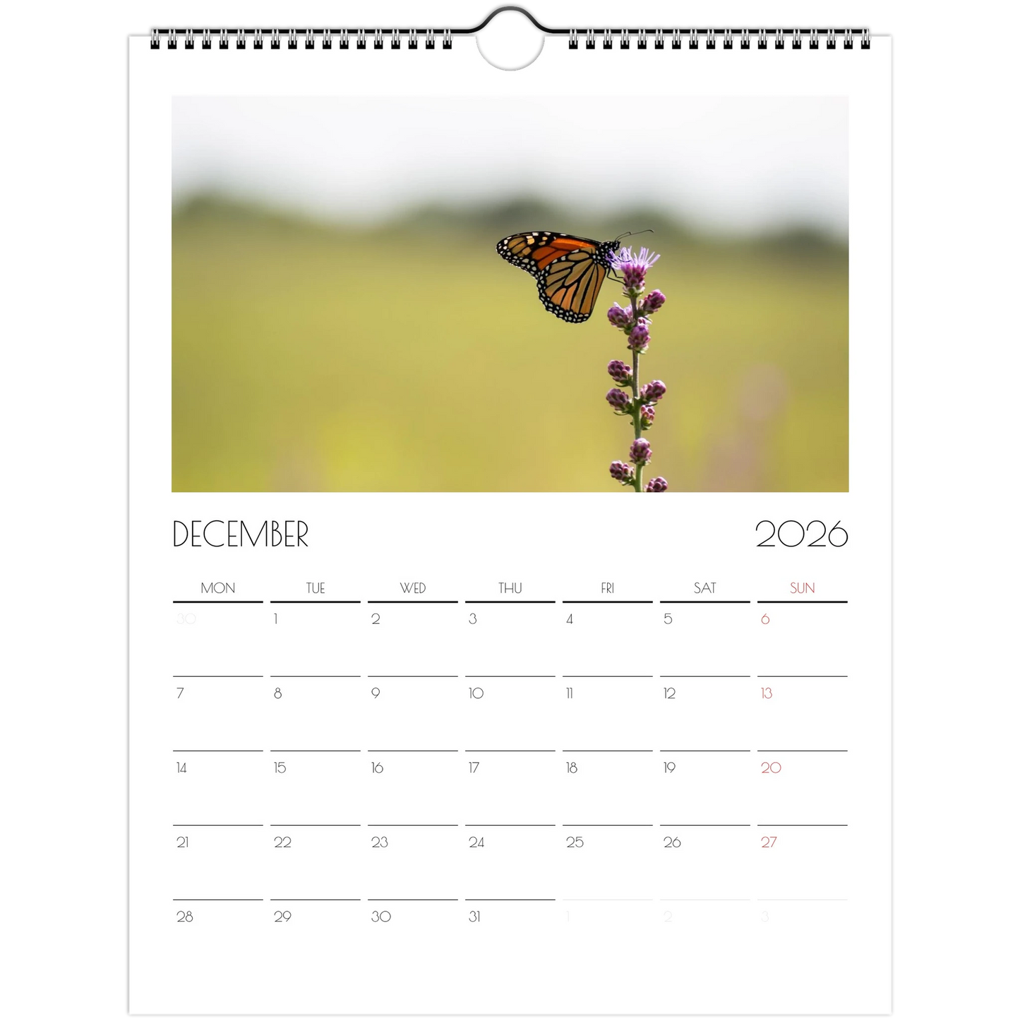 c52064e4-c12e-422a-b732-4b6f8fd2758d