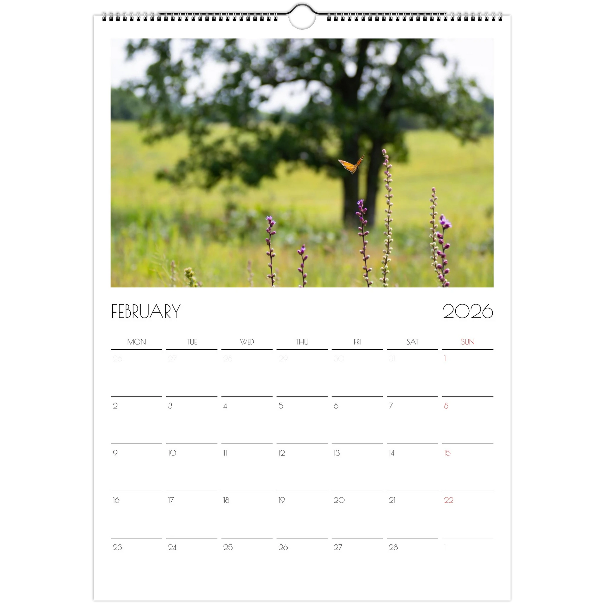 c9db7cce-0ddd-43c8-a117-15e83f2f485f