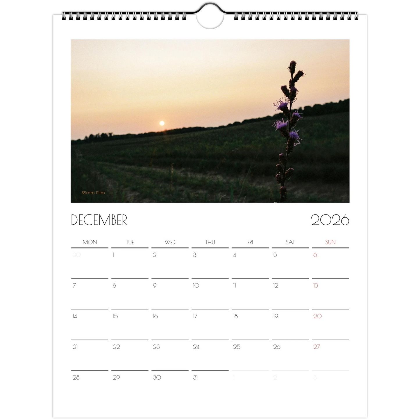 d46947e4-ec8c-4496-87eb-e208a5d1effc