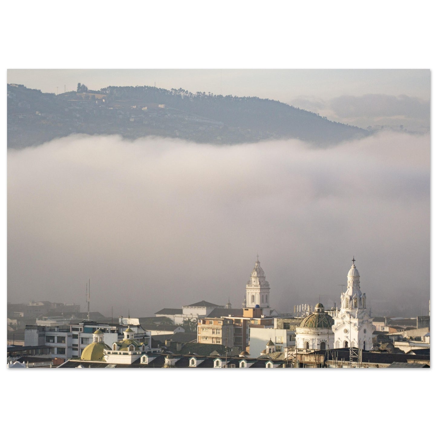 d815e902-a961-4b4a-923f-a8042af0d710